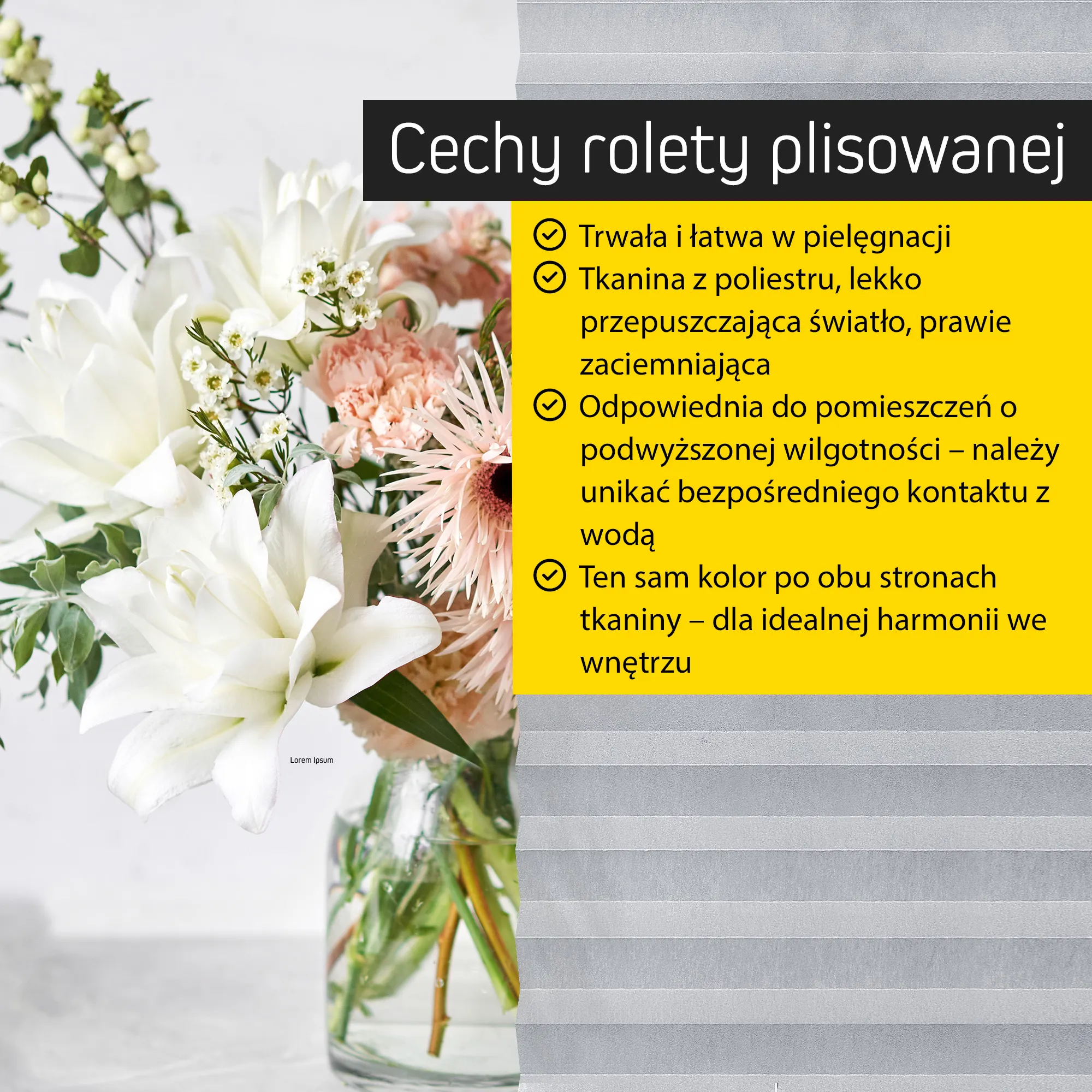 slider_image_019b273161d070b4a136ef15979f4188