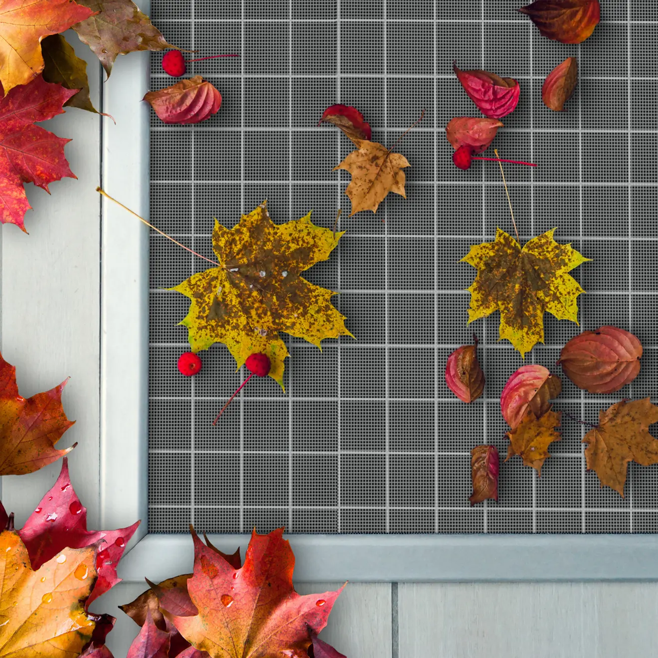 Detal pokrywy studzienki okiennej z jesiennymi liśćmi na siatce