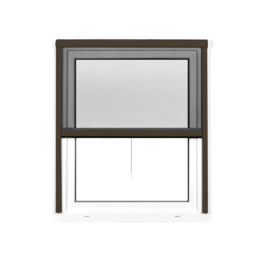 slider_image_019a8663256b704b82c1deb0f11bcdc4