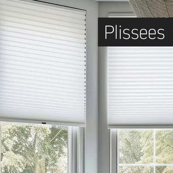 Kategorie Plissees