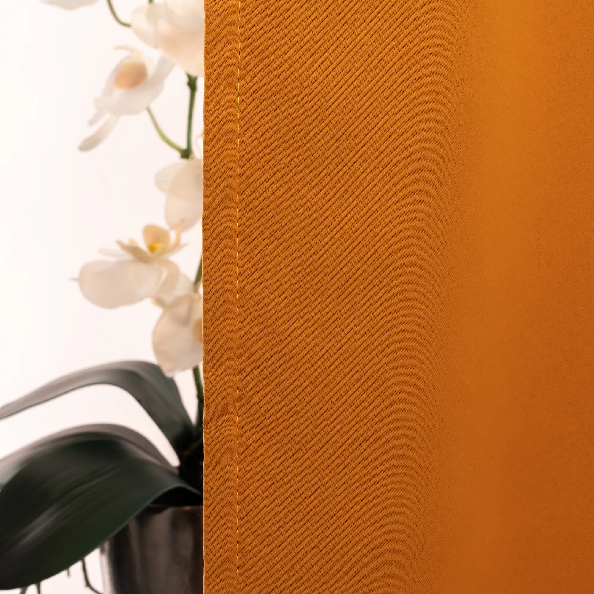 slider_image_0198f7b64a1873a6afe46c63a529539f