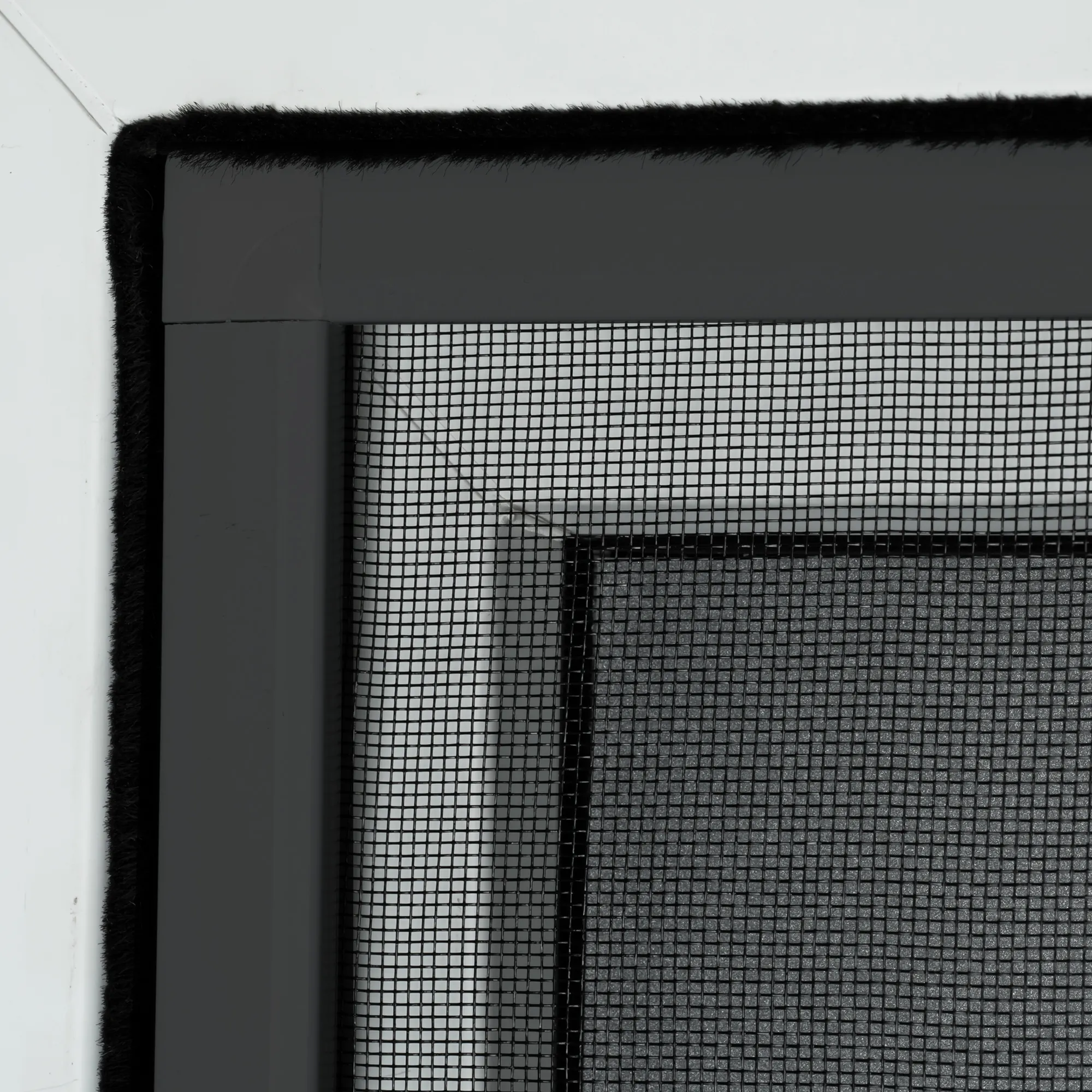 slider_image_019506d43e9471879677c1c255459a59 slider_image_019506d43e9471879677c1c255459a59