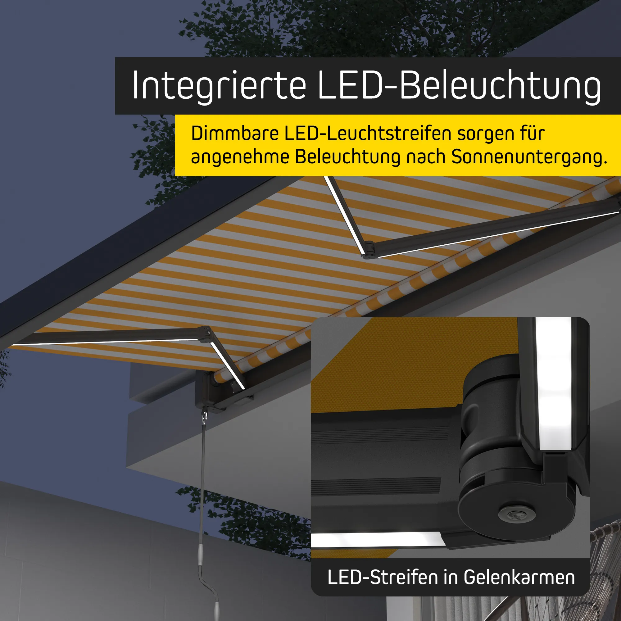 slider_image_019638a0b60a7467aa0f2eaedf446430