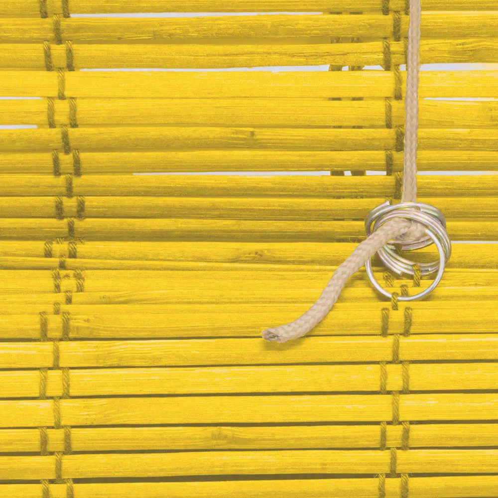 slider_image_019a84c7298371a78c312b71dc29f0a9