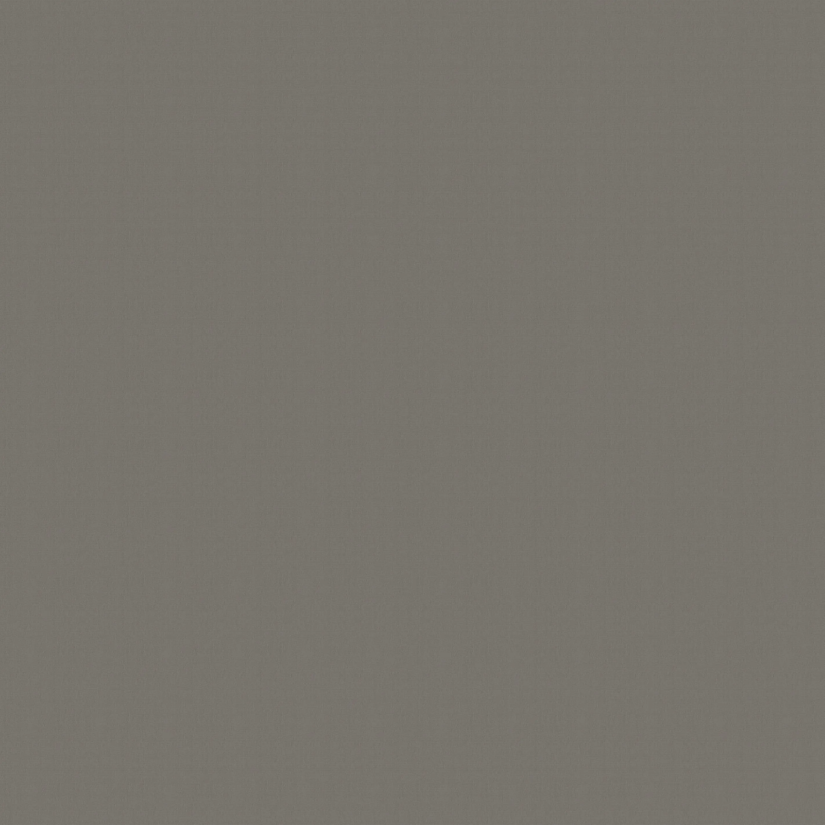 Campioni di tessuto per tende su misura | 950 tortora / opaco / Even