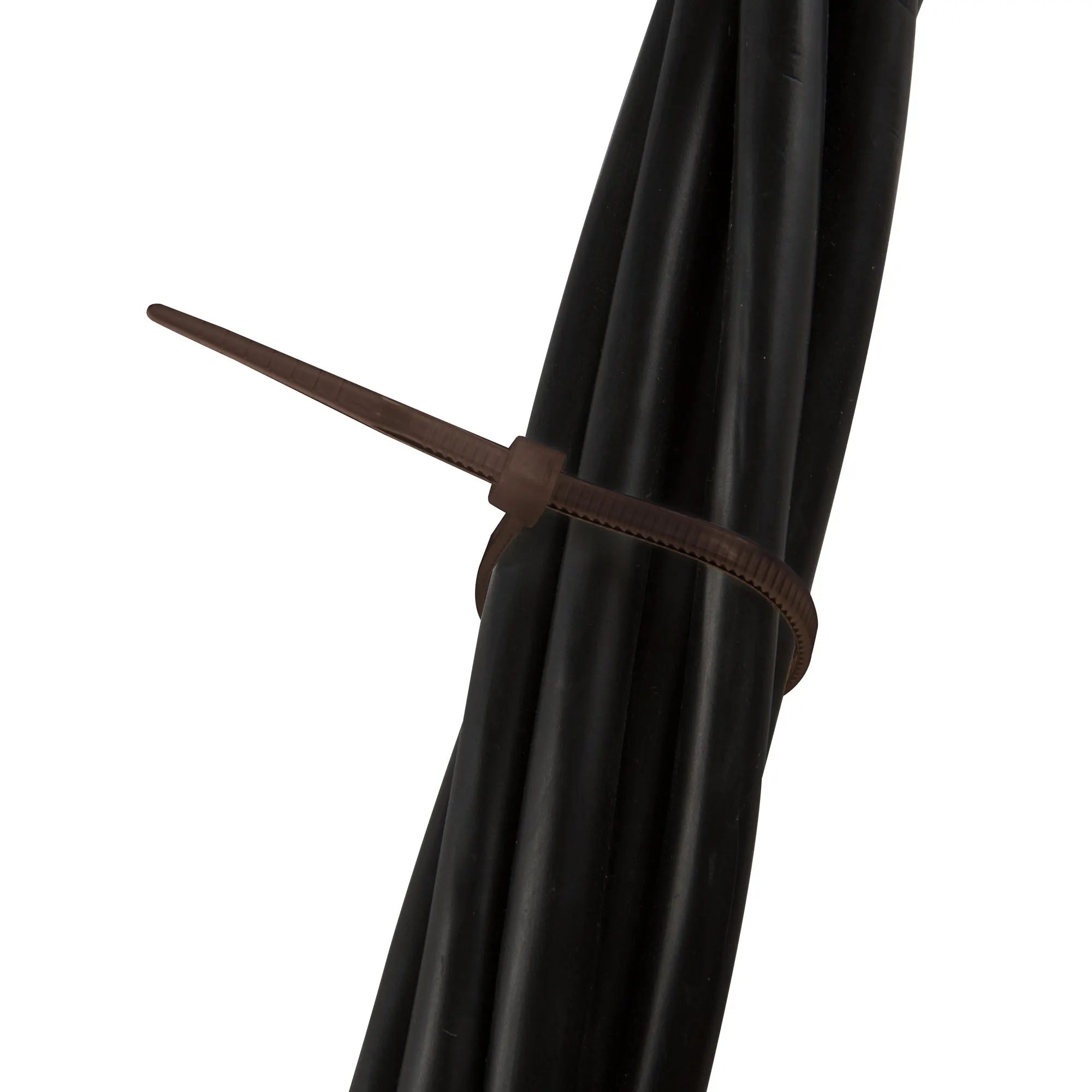 slider_image_01950afd372e739fb47b1d81f6246d9f