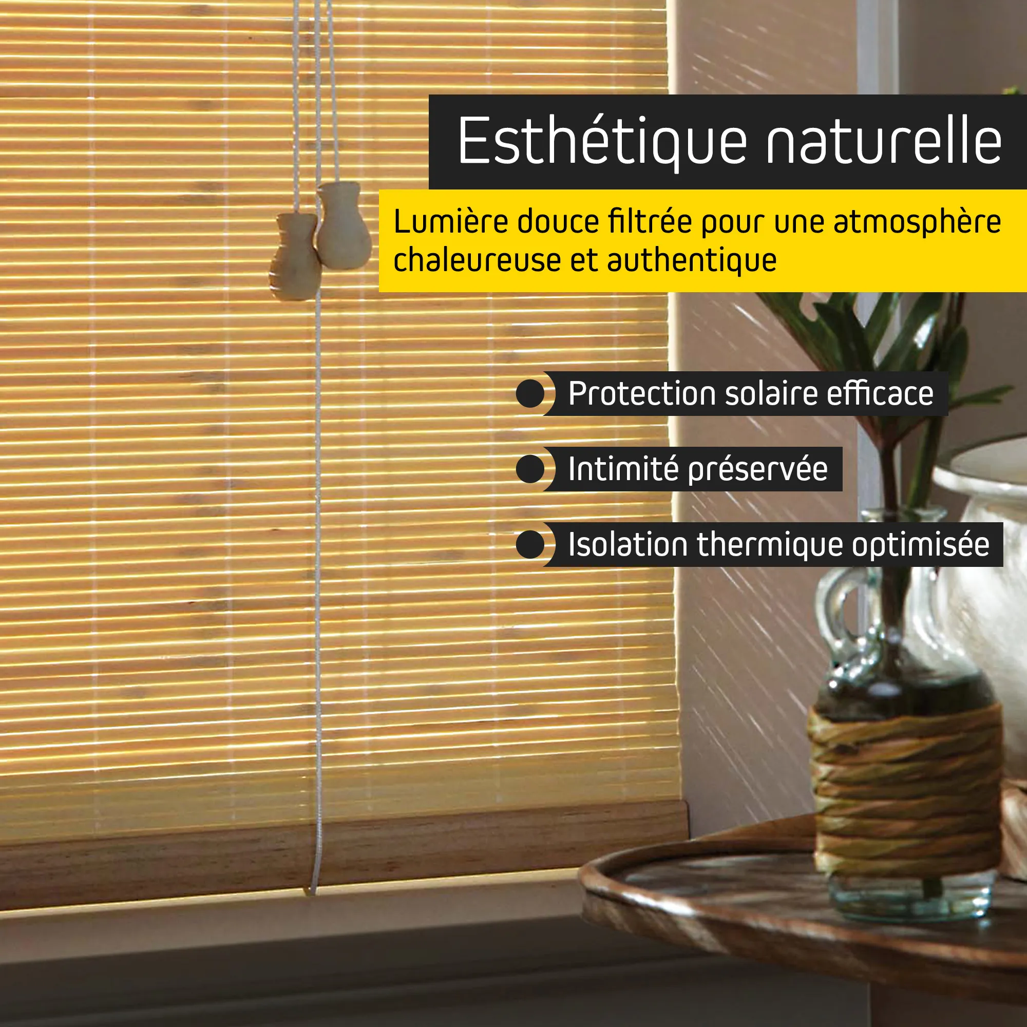 slider_image_019b2225f0fa746ca13c19974c46a1ec