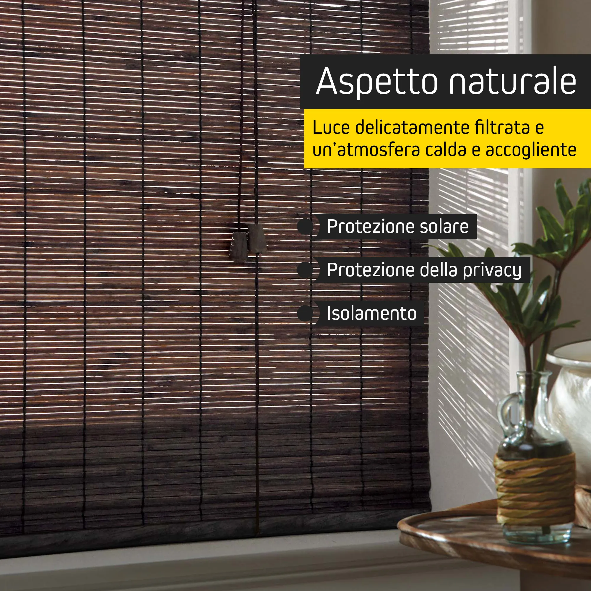 slider_image_019bea73728875f2a58e48adb7154915