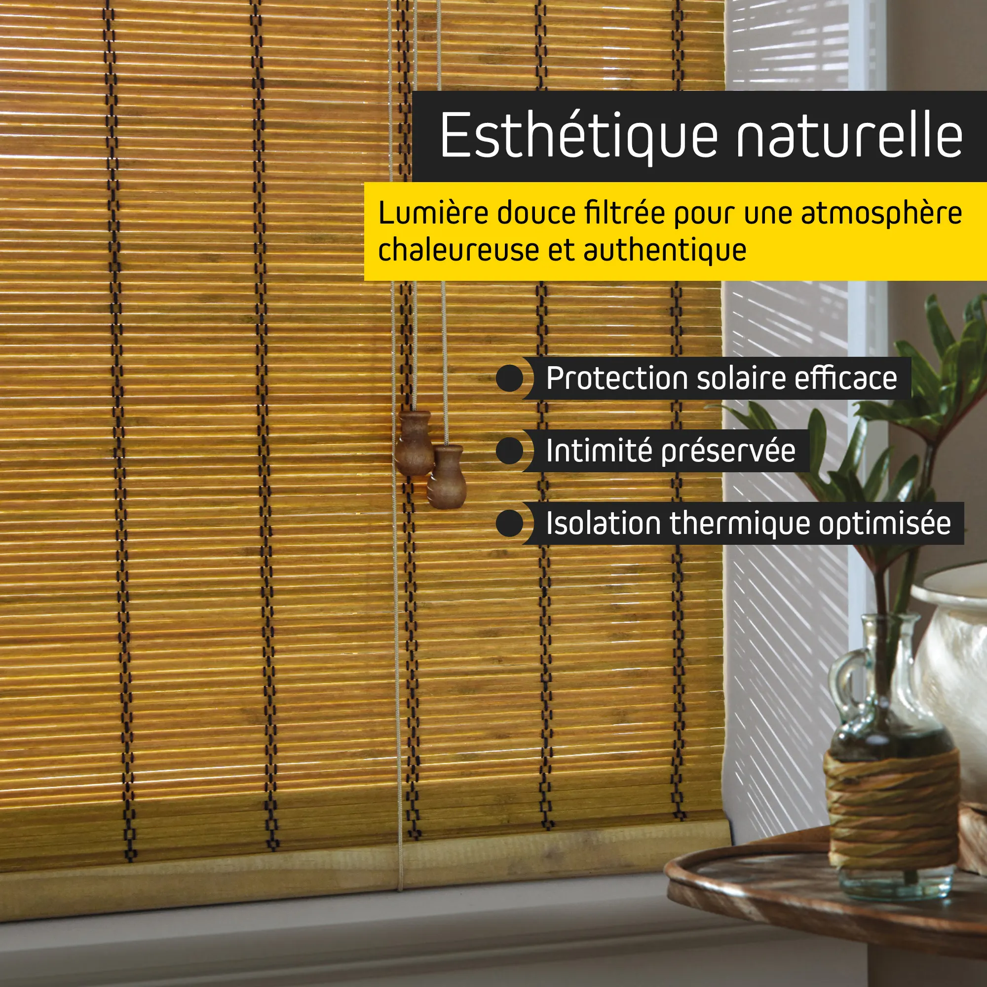 slider_image_019b26a8c42370d7b6ad8aab17225735