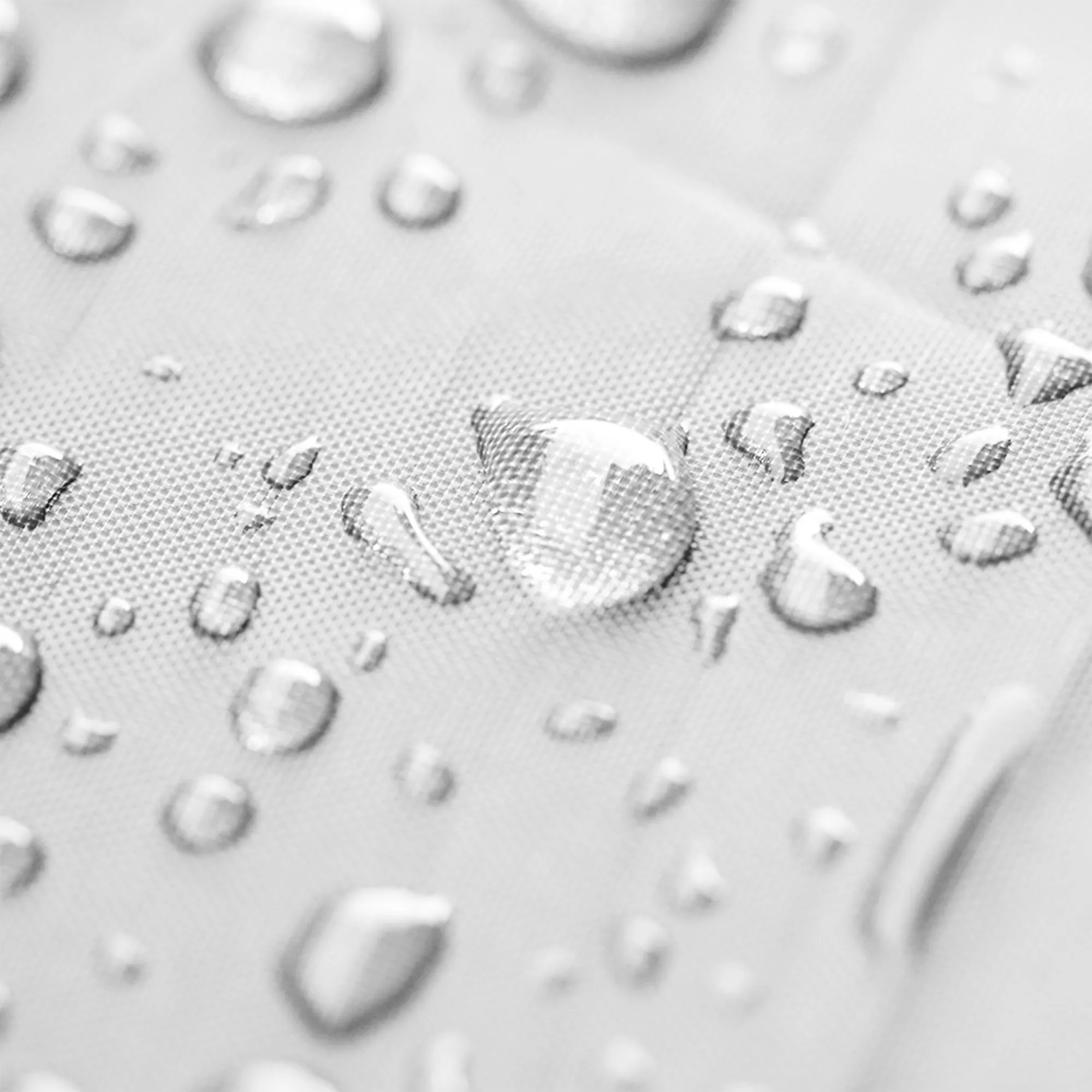 slider_image_019d48f56a0673f488a9cef134874a62