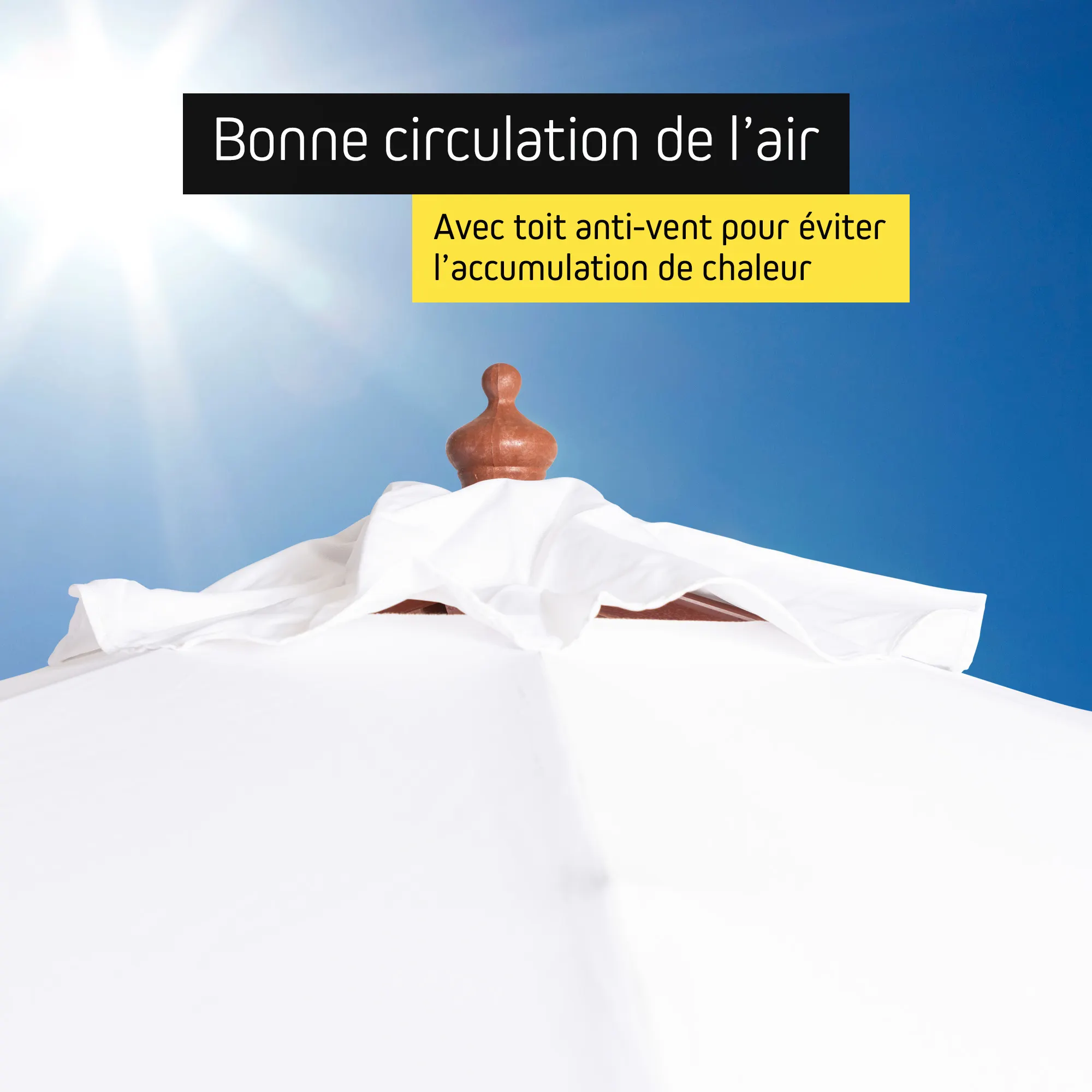 slider_image_019a019314b37061a930f851c424a3f3