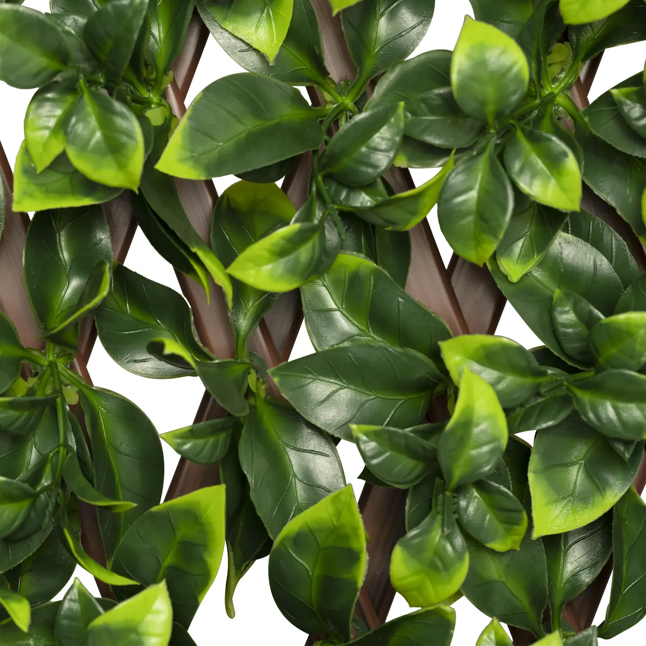 Künstliche Pflanzenwand mit dichten Blättern, dekorativ und vielseitig einsetzbar