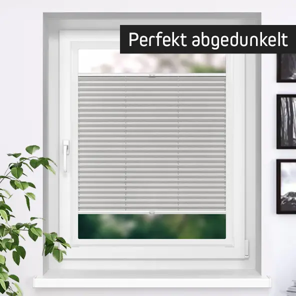 Fenster mit montierten Plissees, perfekt abdunkelnd, in einem Raum mit Pflanzen und Bildern