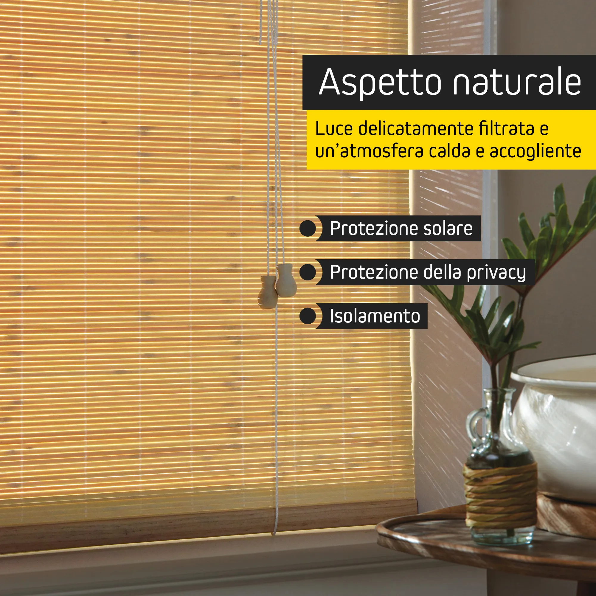 slider_image_019bea7372897b43899e5761b801e37e