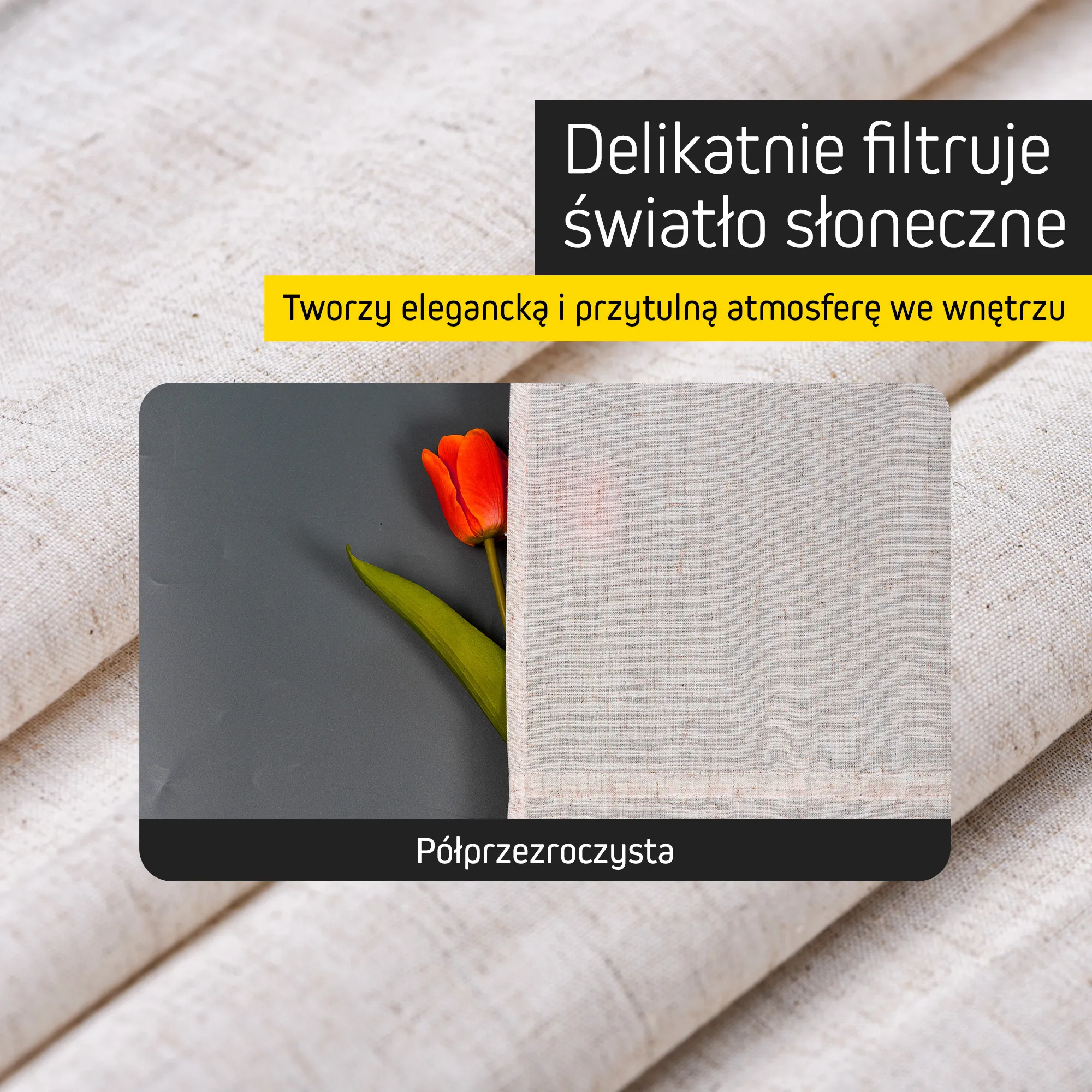 slider_image_019c8a85caec7e4da18b12eb513e529f