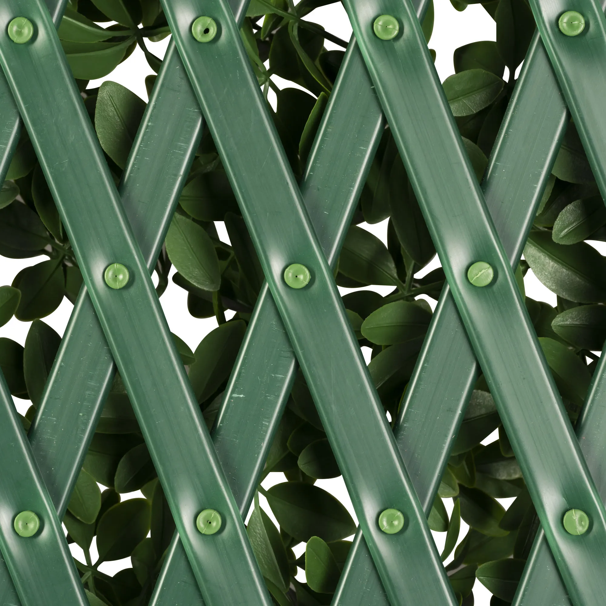 slider_image_0198f721cea571c4baf719a359b0f01e