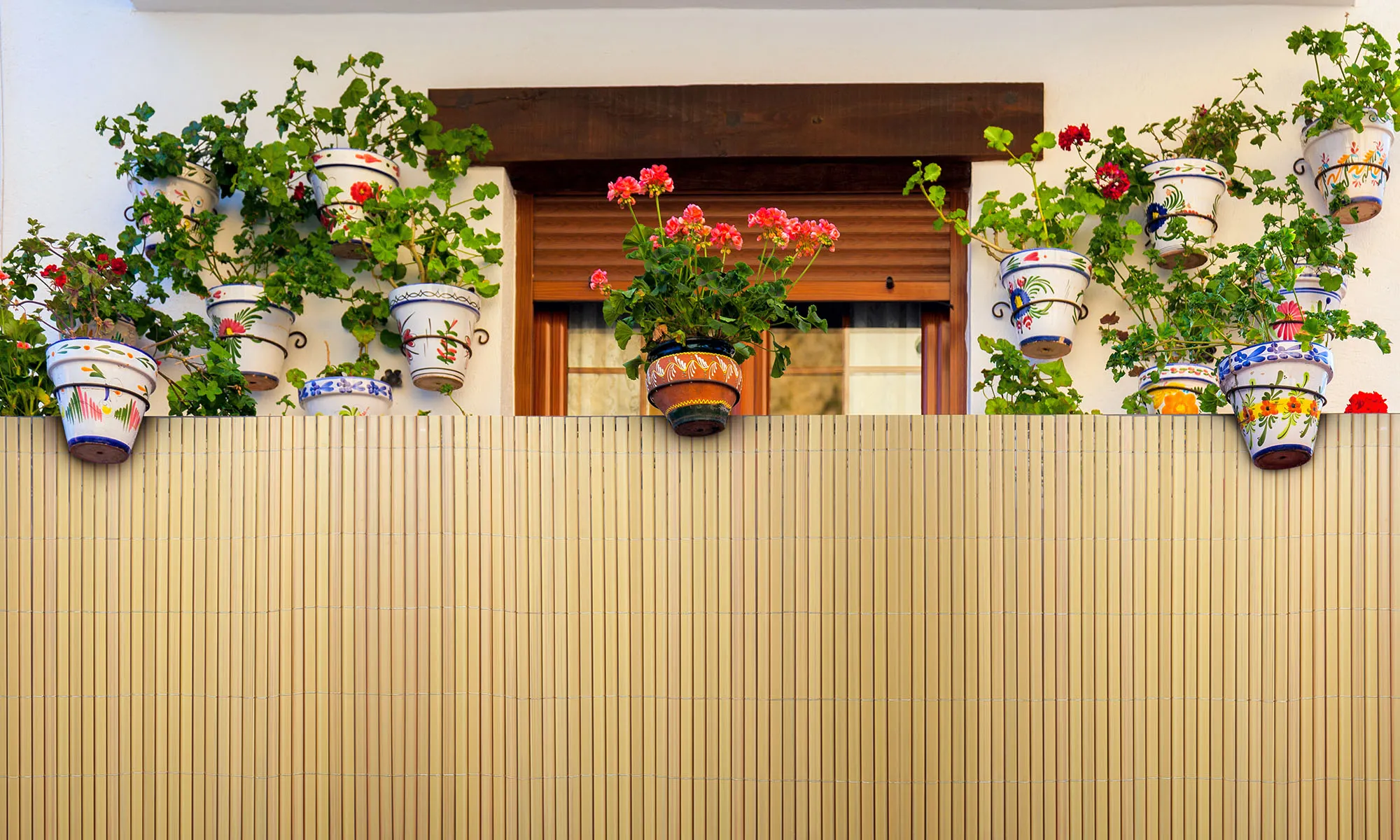 slider_image_0195f0ae7c0c7ff38df132ba18f68063 slider_image_0195f0ae7c0c7ff38df132ba18f68063