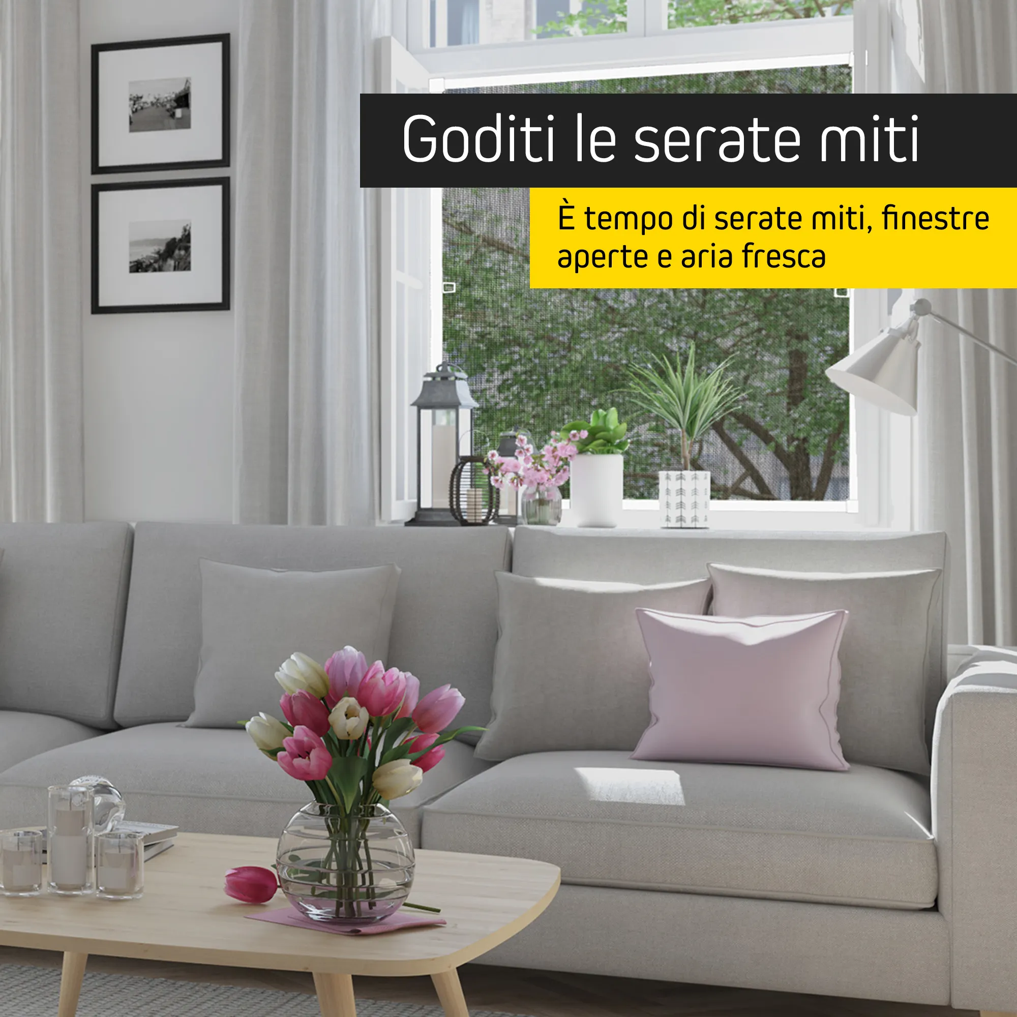 slider_image_01990e43786b70fc96eb492a7ce86938