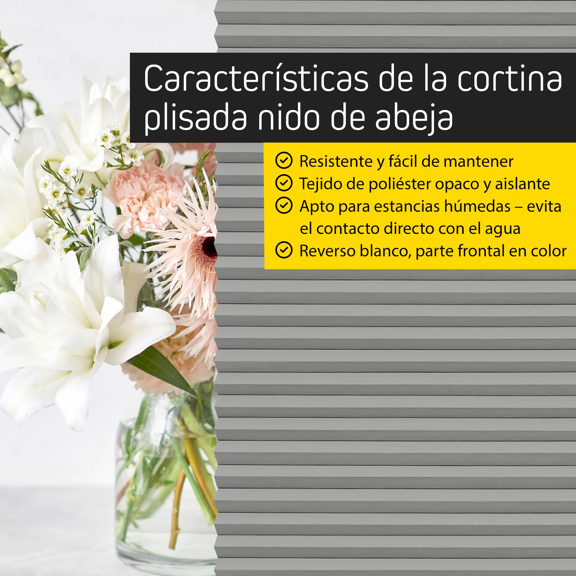 slider_image_019be53f8fbe7a68b5f8b019fe81bda5