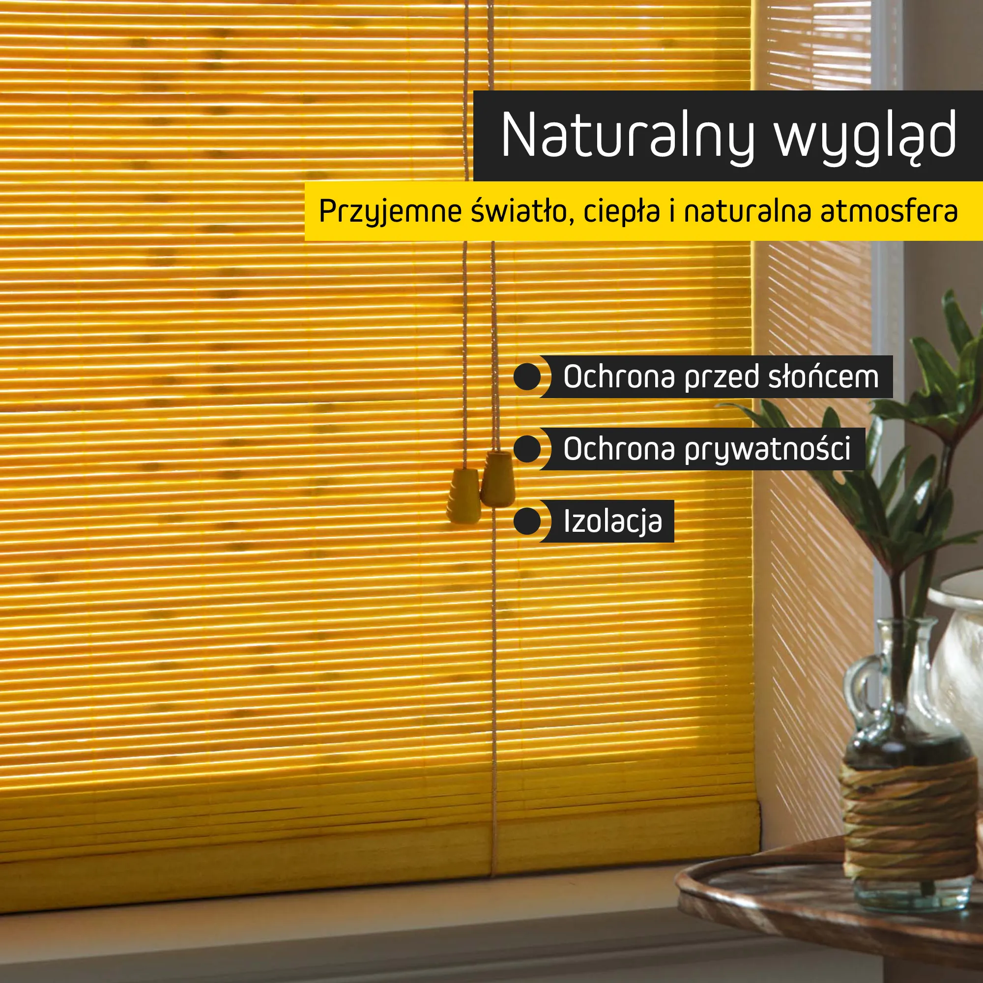 slider_image_019b3045476f70fba19ef88e1c566751