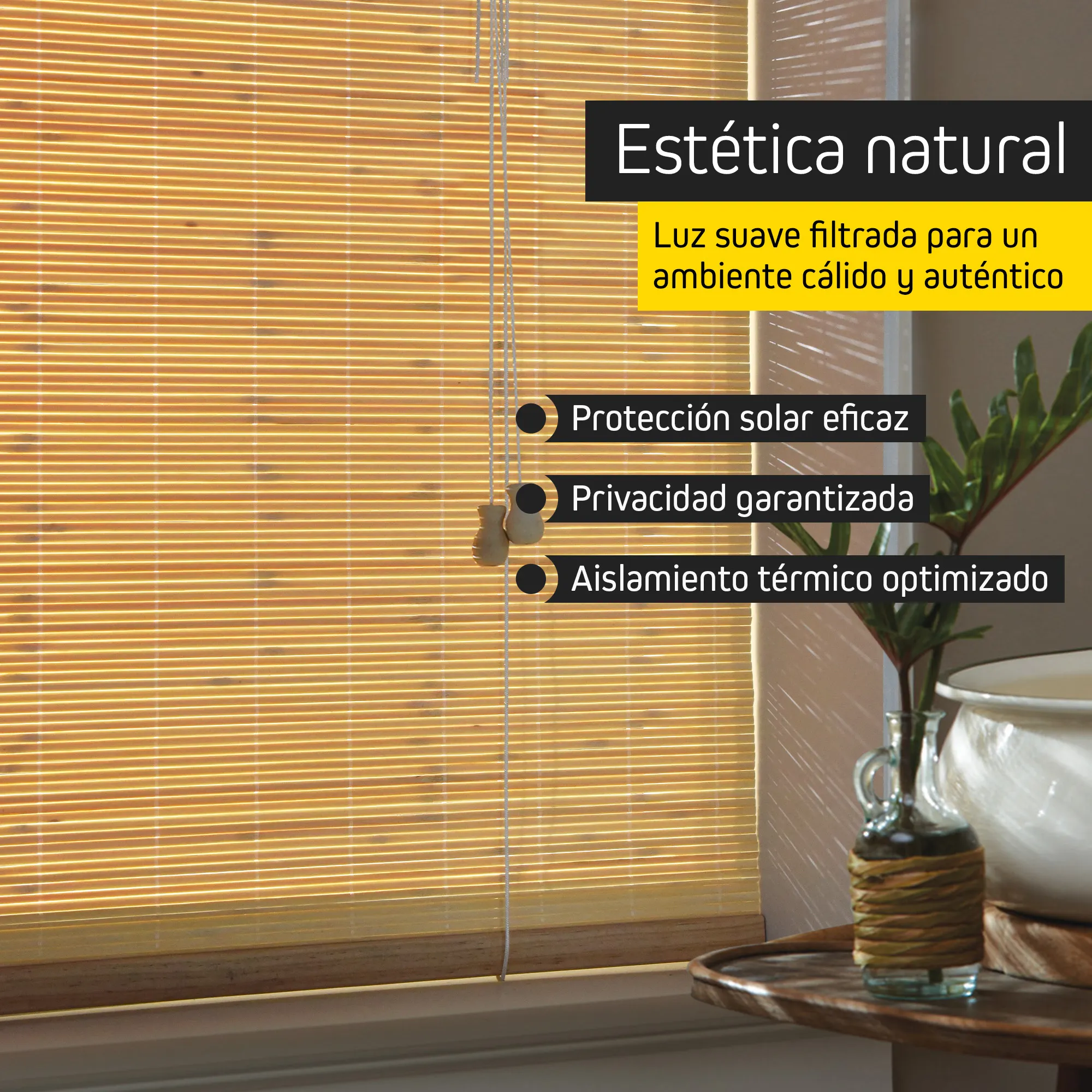 slider_image_019beb21c8357572899e211904be649d