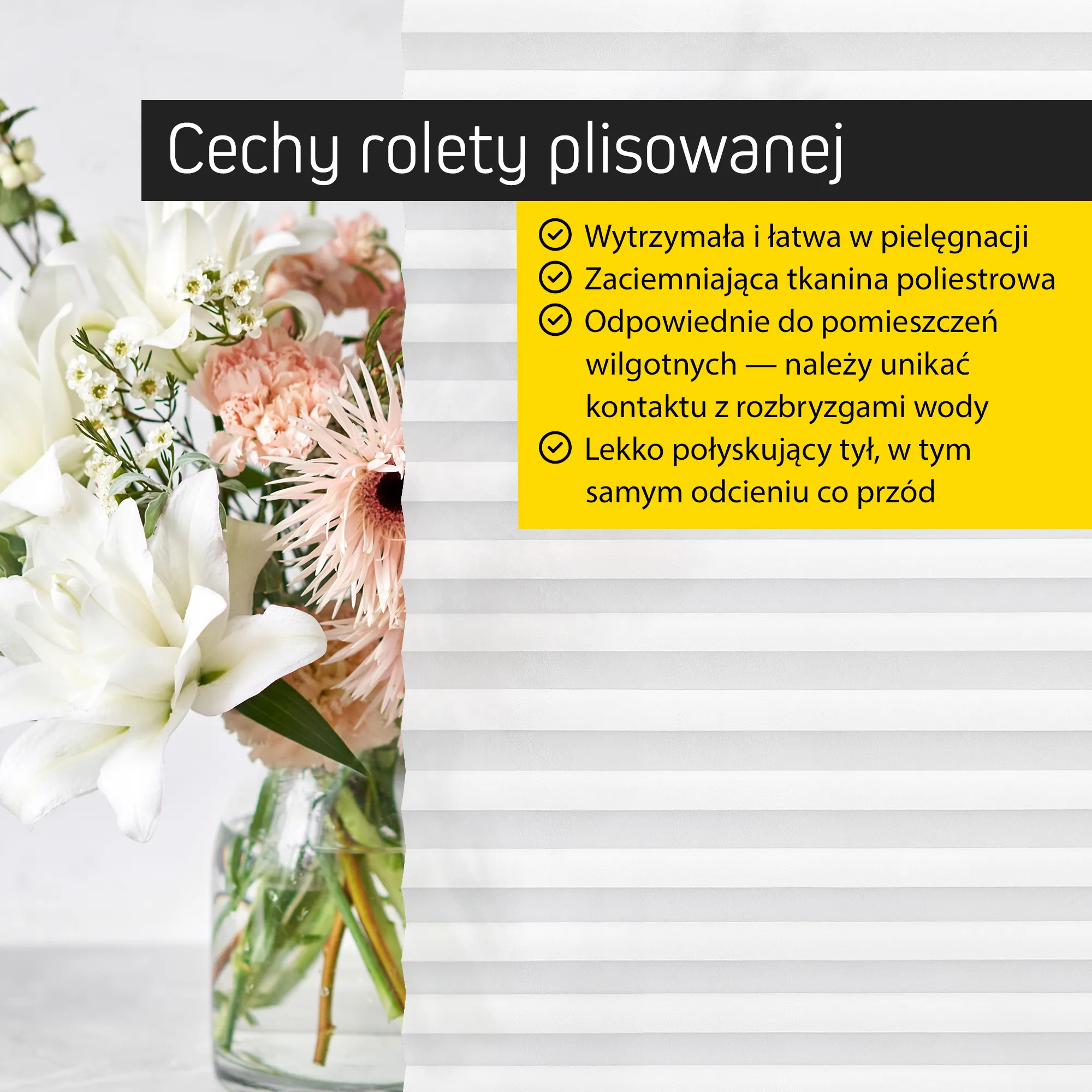 slider_image_019b273161d070b4a136ef160b4883f2