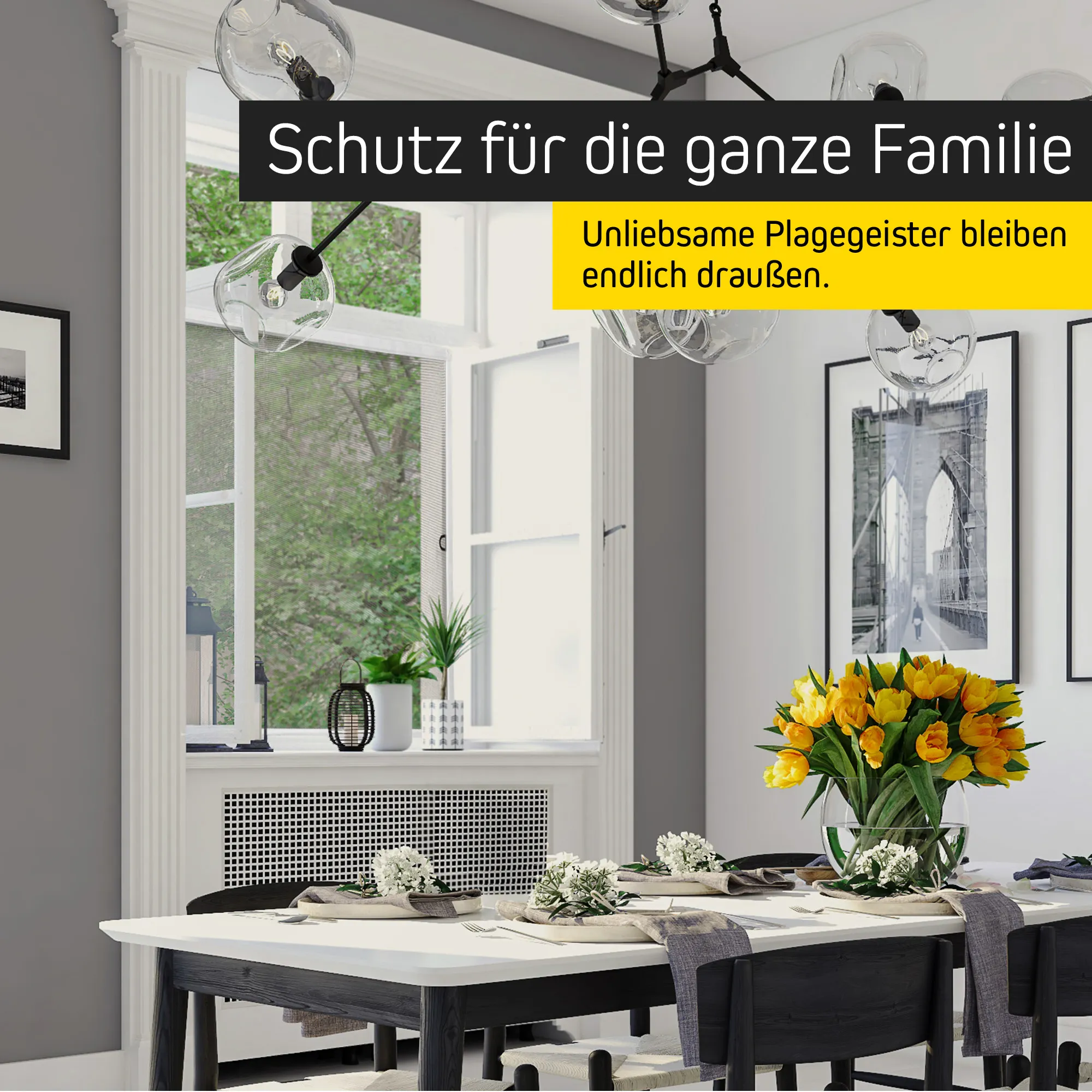 slider_image_019662c479ea72ff81031eee50da8d53