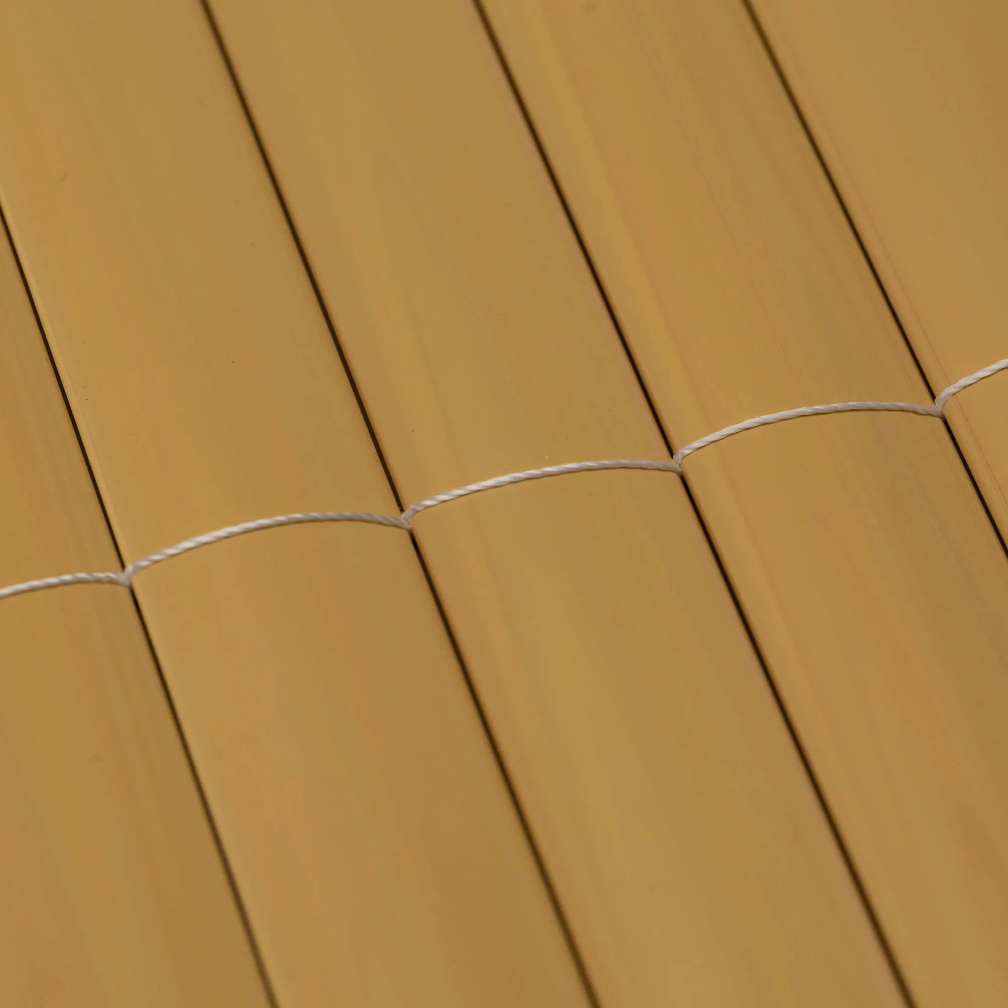 slider_image_019a861dfa1f7127ae3e5719065935a5