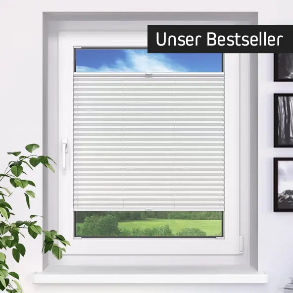 Fenster mit Plissee-Jalousie, umgeben von Pflanzen und Bildern, mit Blick nach draußen
