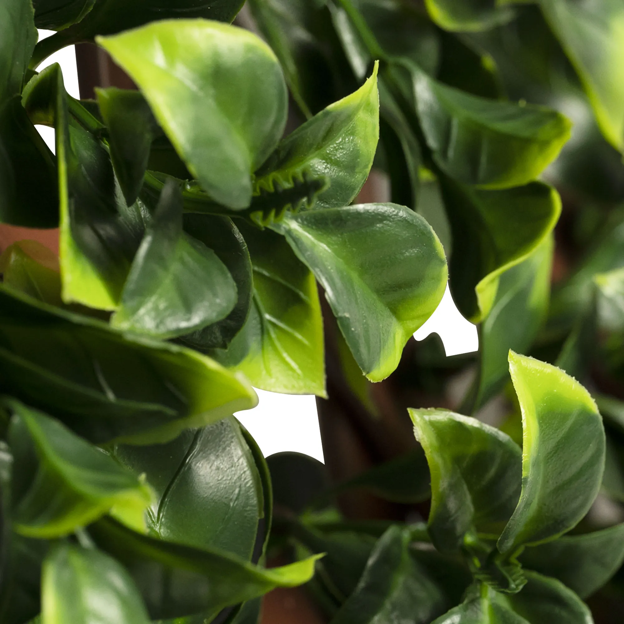 slider_image_0198f720edab71f682e80a06f2717be8