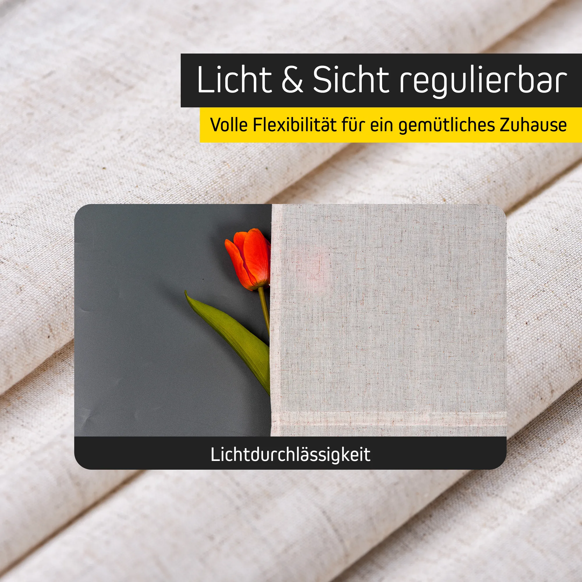 slider_image_019a8159a2b87130aede5d69f85abda9