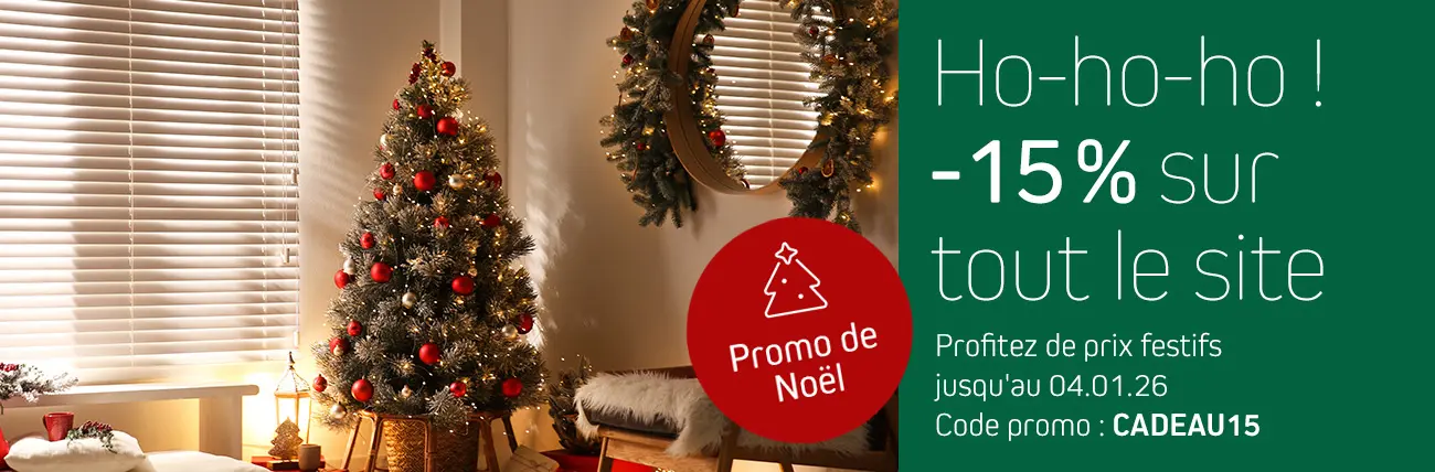 Profitez de prix festifs jusqu'au 14.12