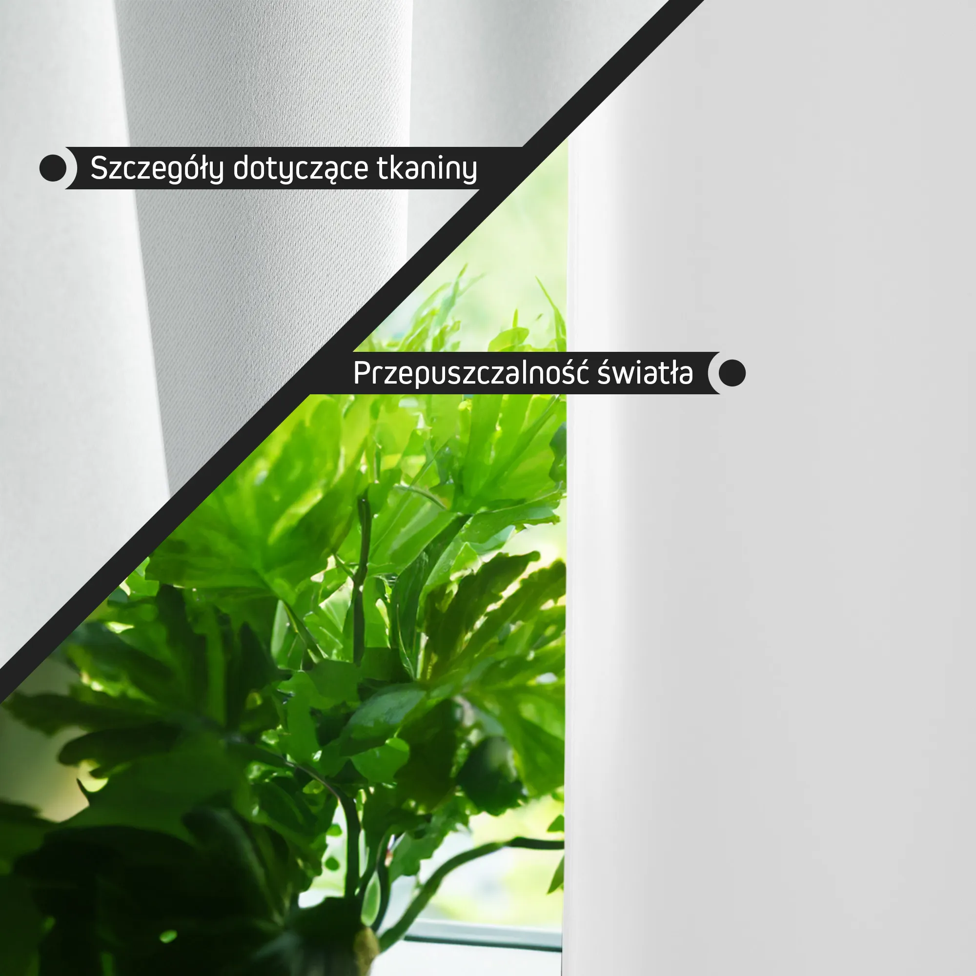 slider_image_019bfee45efa740dae94064cc0910179