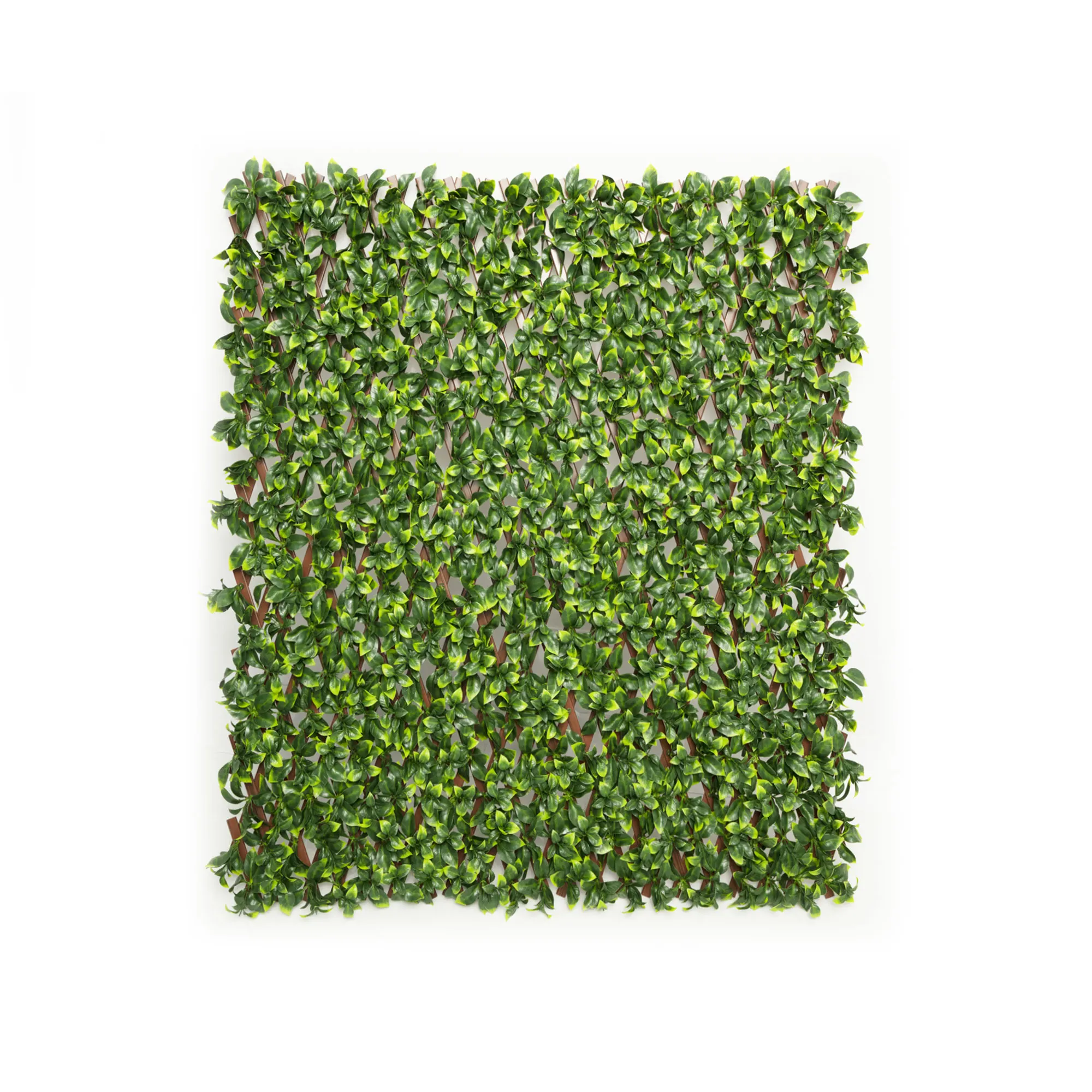 Parete di piante artificiali con fogliame denso e fiori sparsi