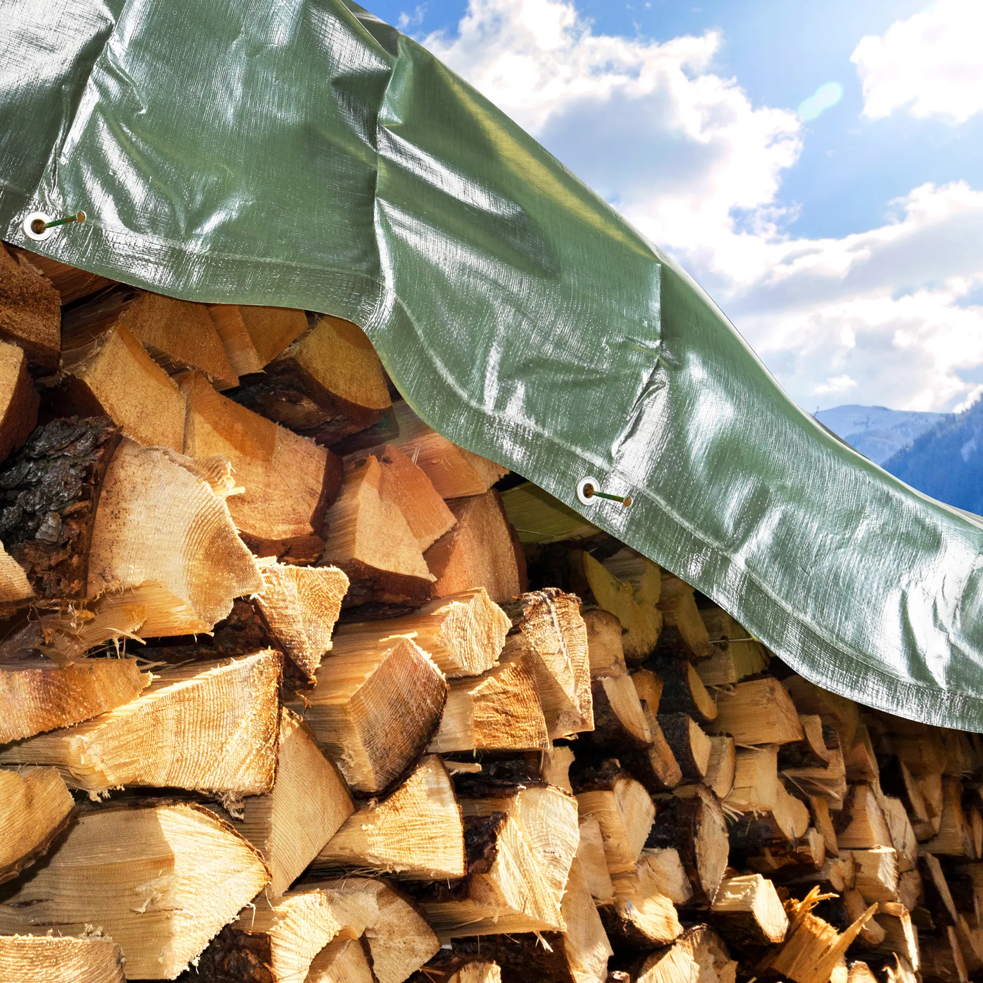 slider_image_019d48f56a0c74e2b0ef8995281d1bac