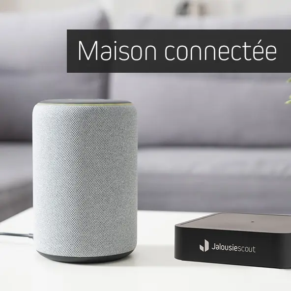 smart home