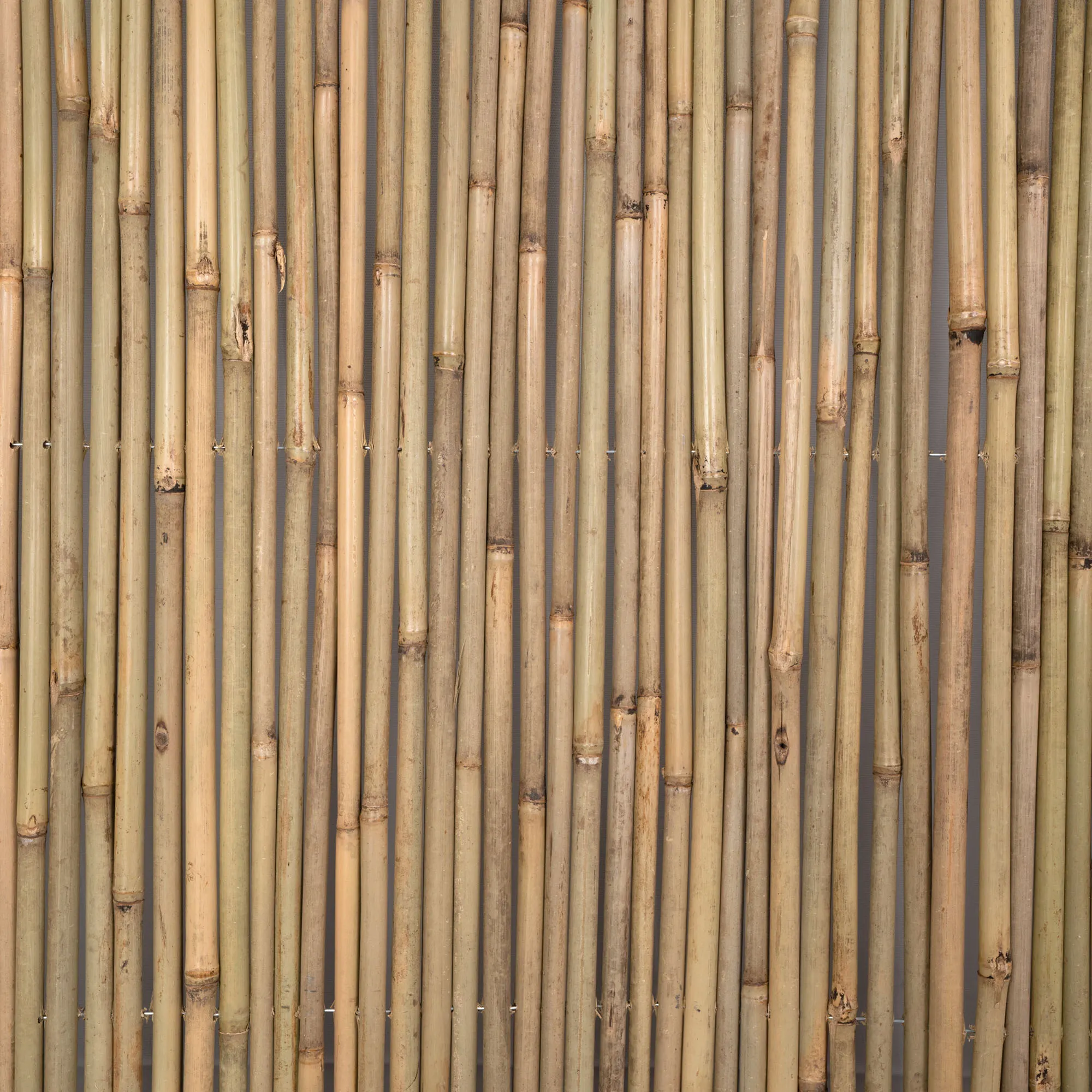 slider_image_0198f721fcba73bdab00597cf5d14dad