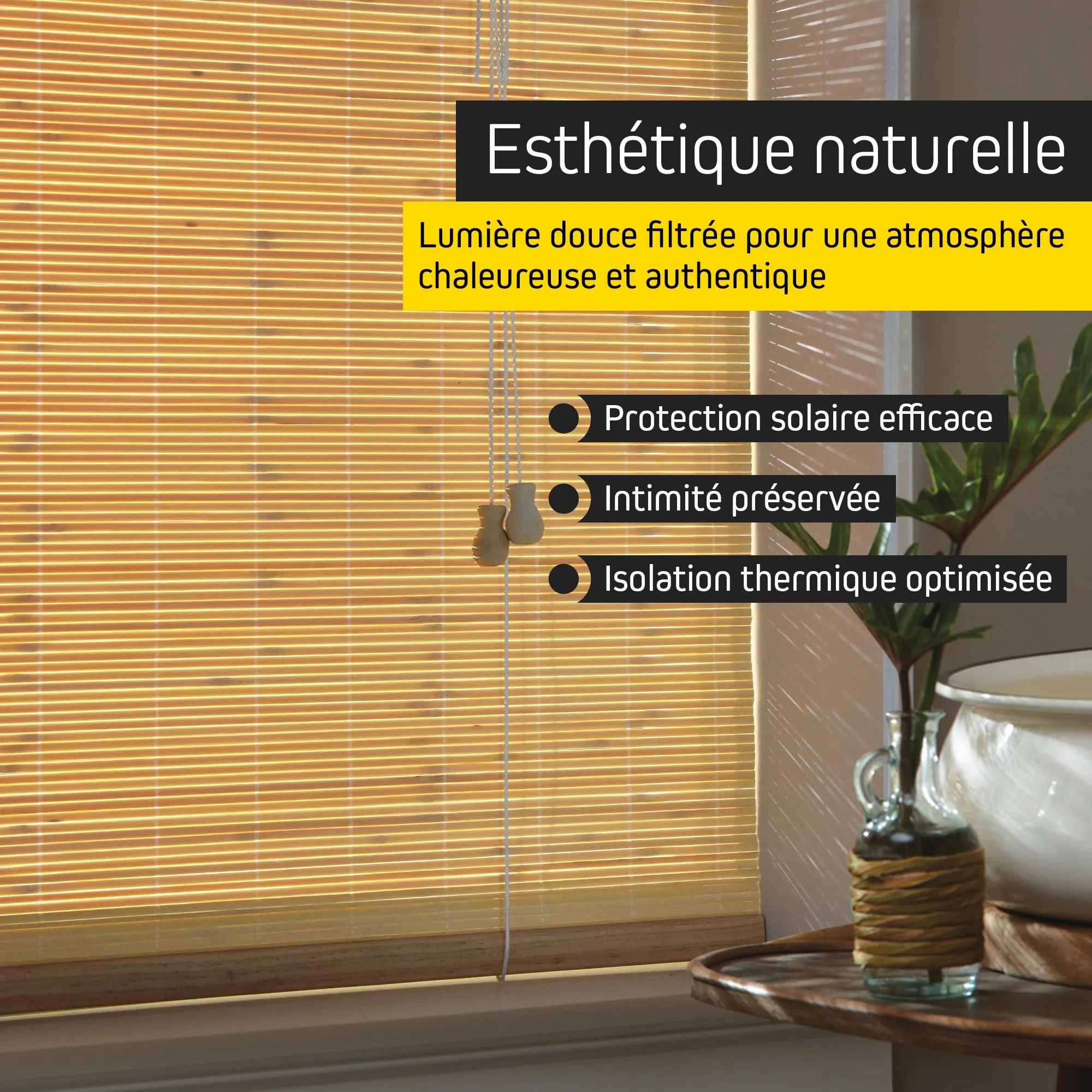 slider_image_019b26a8c42370d7b6ad8aaee5b2a352