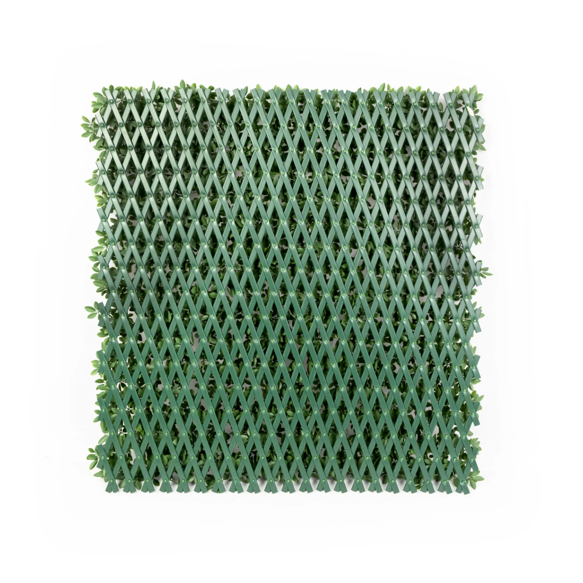 Parete di piante artificiali con struttura a griglia e foglie incorporate