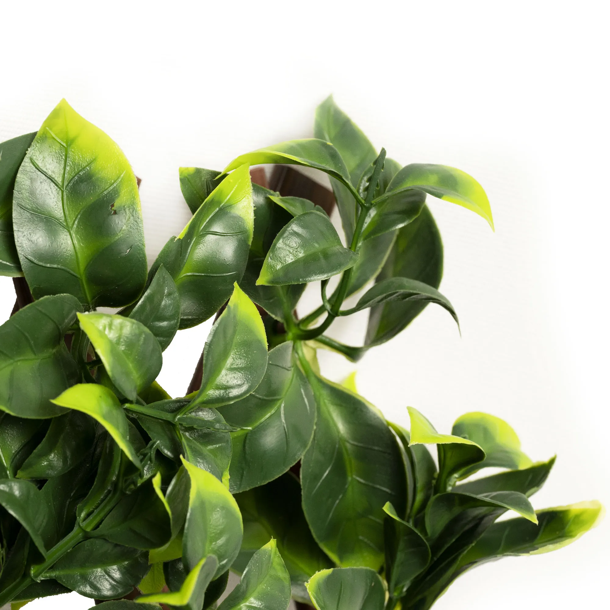 slider_image_019a934ce4e47355b77f73e5aaa8b004