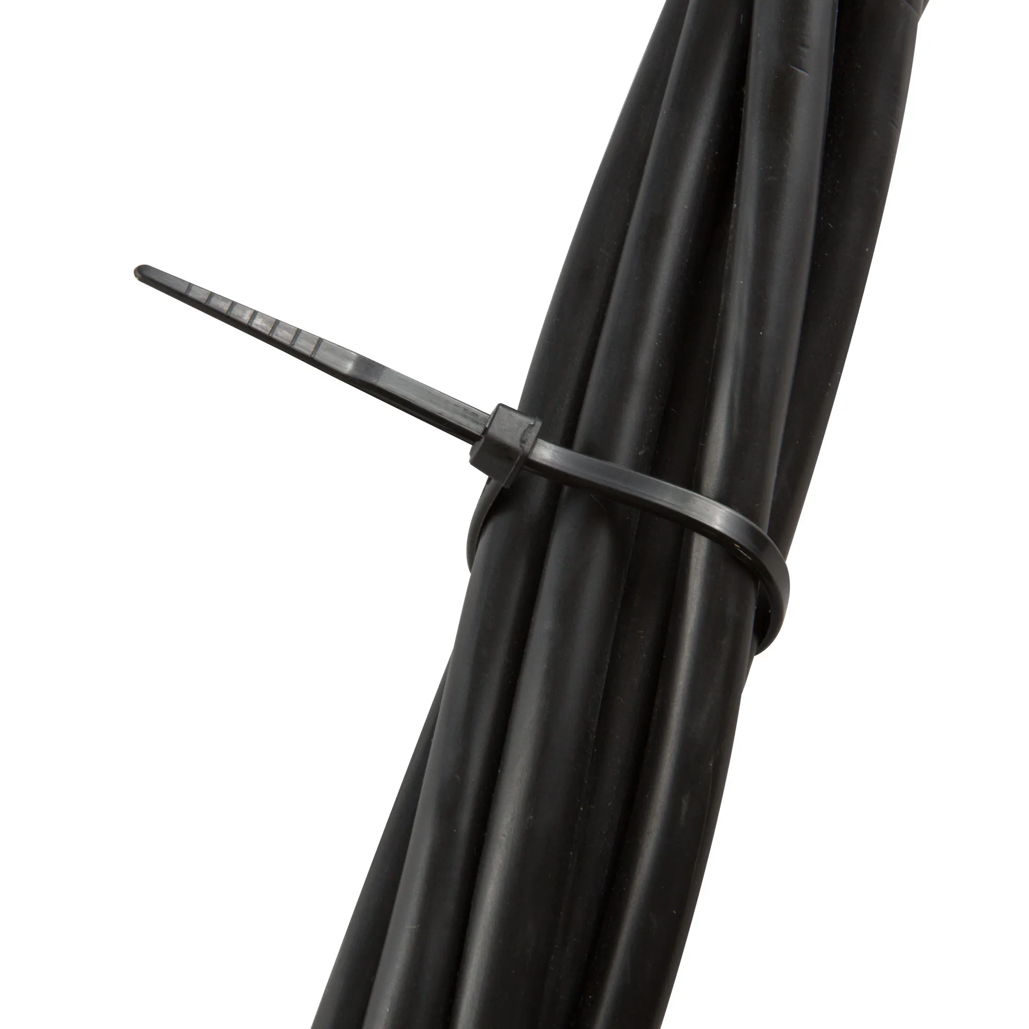 Fascetta che tiene insieme più cavi