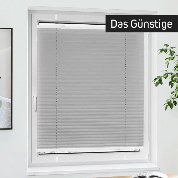 Fenster mit plissiertem Rollo, einfach zu montieren, Sichtschutz und Lichtregulierung