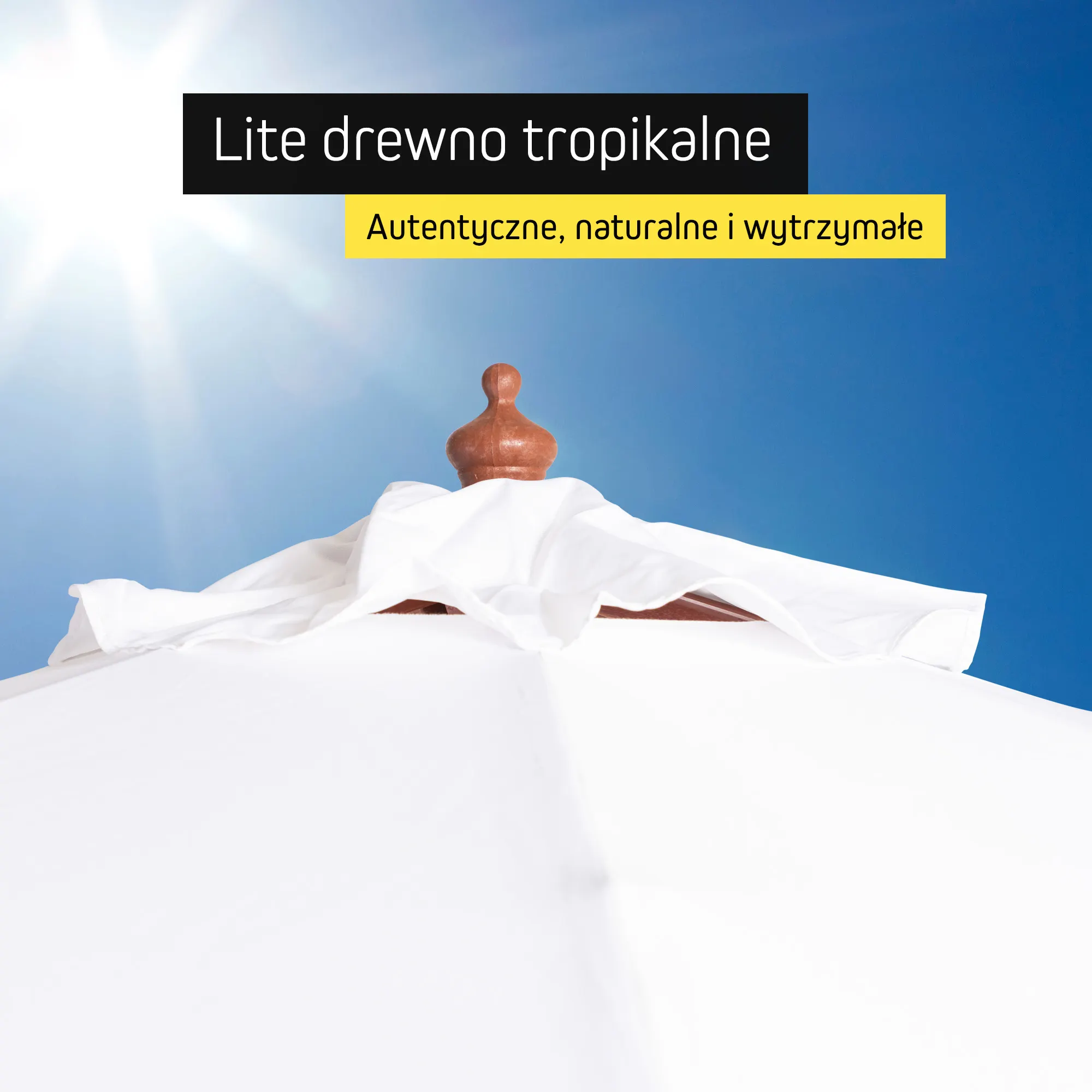 slider_image_019c94adae587298a280c31400144de2