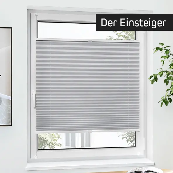 Fenster mit halb geöffnetem Plissee-Rollo, umgeben von Pflanzen und einem Bild an der Wand