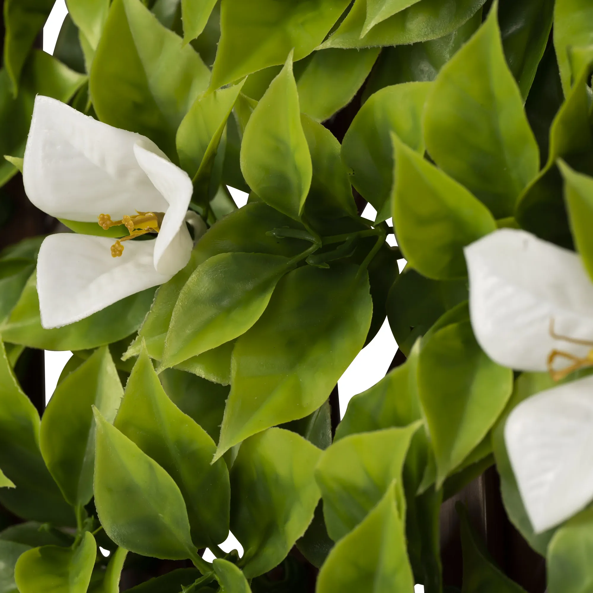 slider_image_0198f7211c8770769905b253050f4455