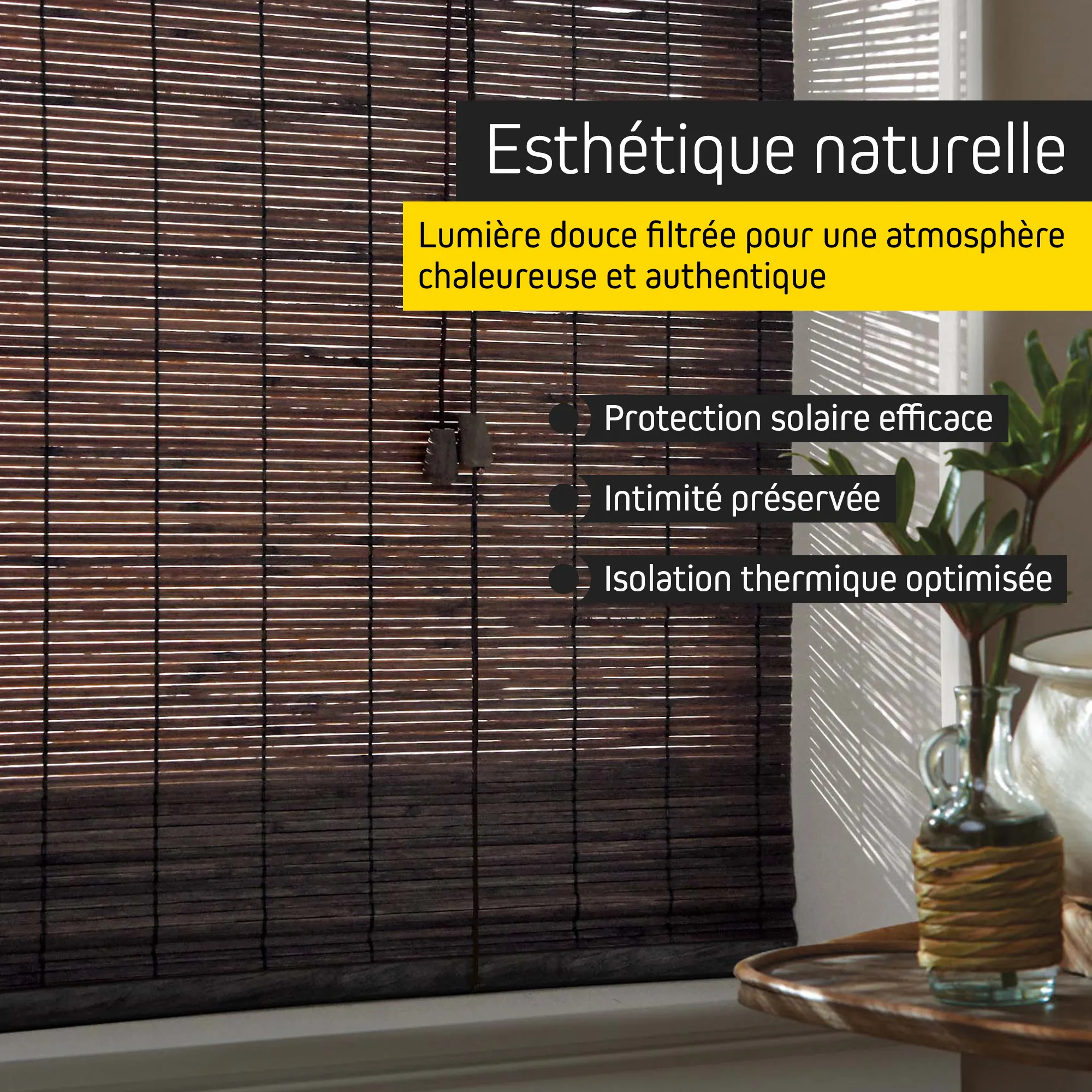 slider_image_019b26a8c42370d7b6ad8aace2659b7e