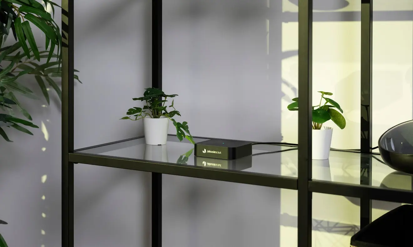 Smart-Home-Bridge auf Regal neben zwei kleinen Pflanzen in Töpfen