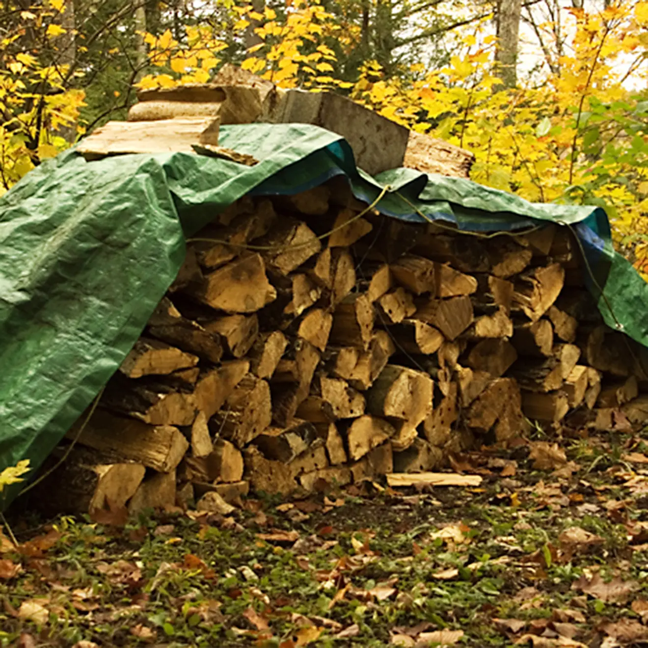 Holzstapel im Herbst mit Abdeckplane zugedeckt