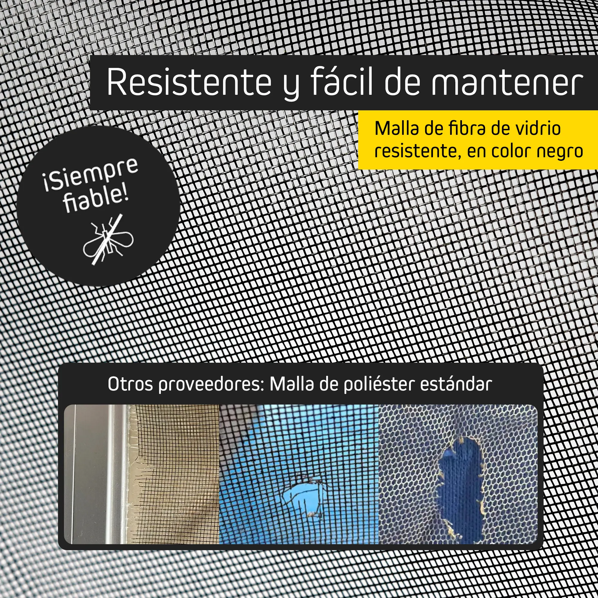 slider_image_019c9485a22f7aa4afc53fc0c5de1897