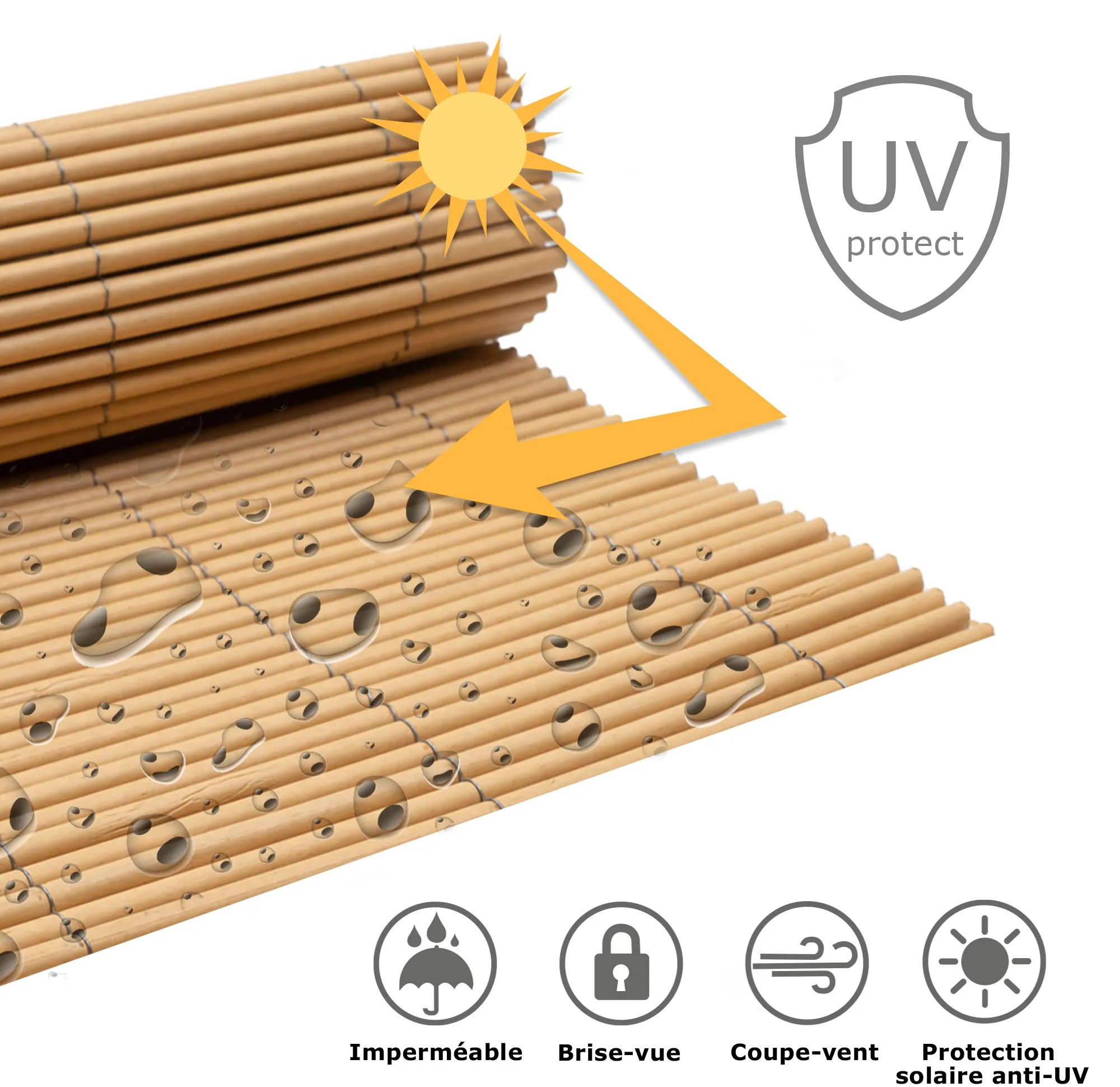 slider_image_019a5d6626c579ef9a3033bcfa7567dc